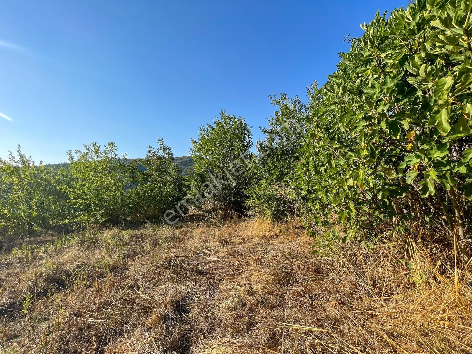 Bursa Osmaniye Köy İçinde 300 M² İmarlı Müstakil Arsa - Görsel 12