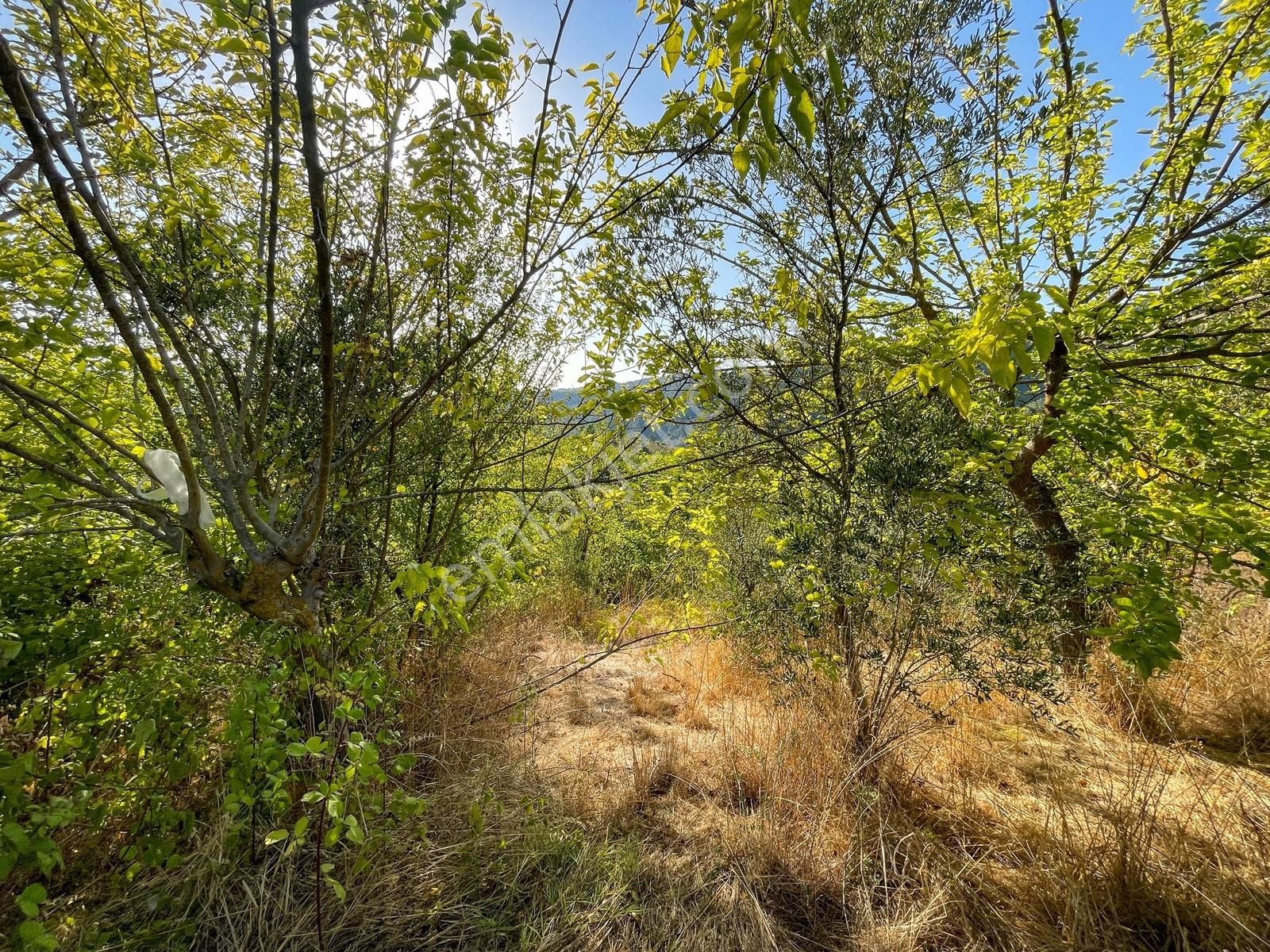 Bursa Osmaniye Köy İçinde 300 M² İmarlı Müstakil Arsa - Görsel 30