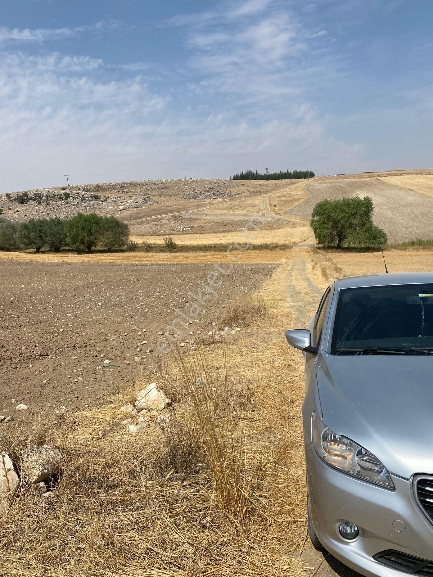 Araç Takaslı Gölbaşı Koparan'da 293 M2 Satılık Arsa Pala Emlak - Görsel 13