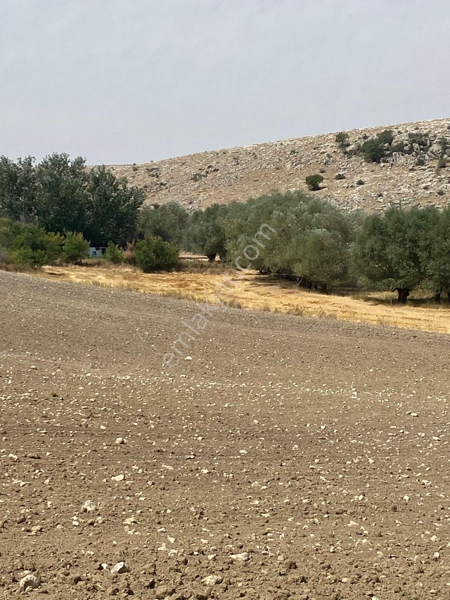 Araç Takaslı Gölbaşı Koparan'da 293 M2 Satılık Arsa Pala Emlak - Görsel 9