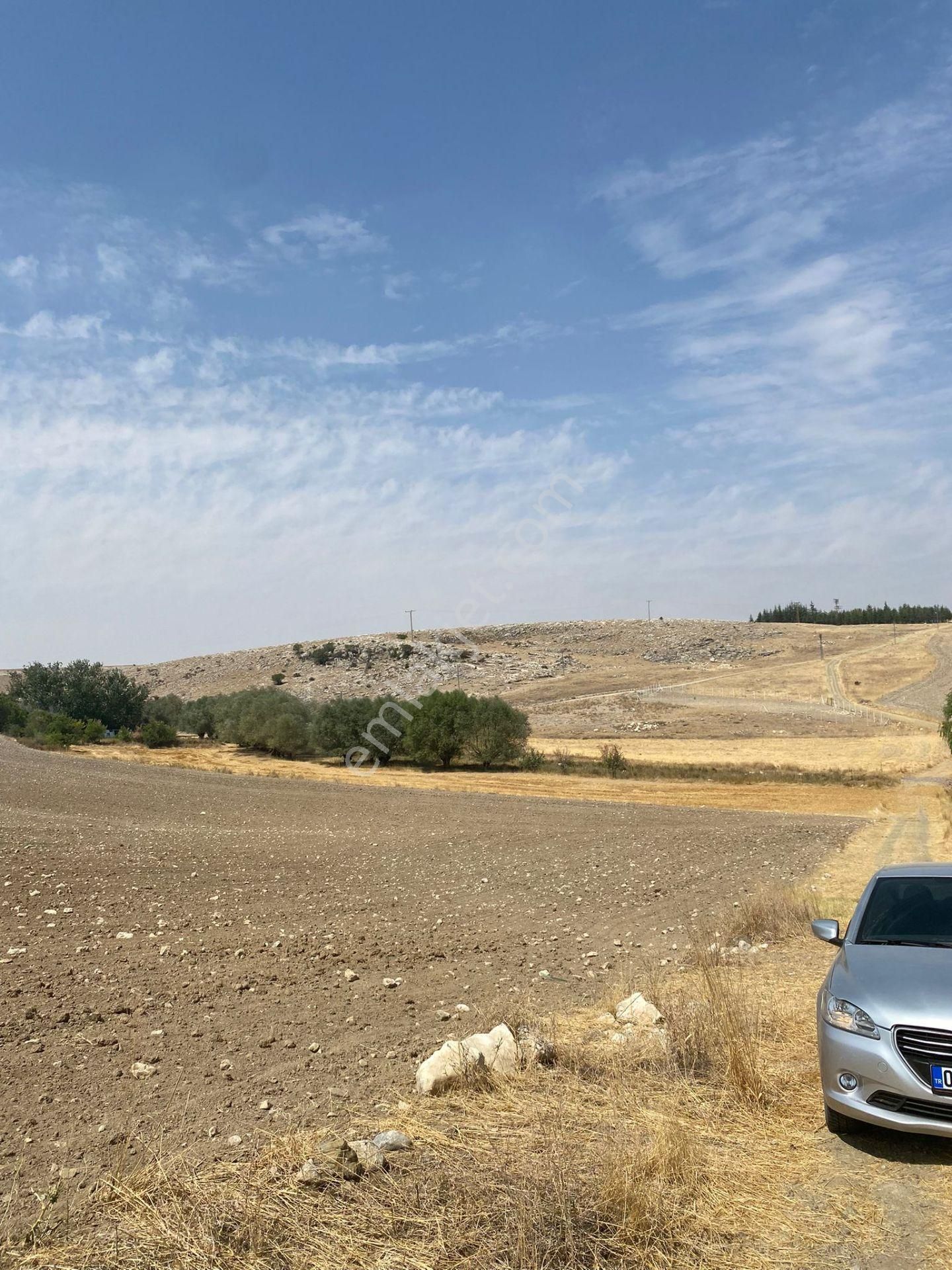 Araç Takaslı Gölbaşı Koparan'da 293 M2 Satılık Arsa Pala Emlak - Görsel 6