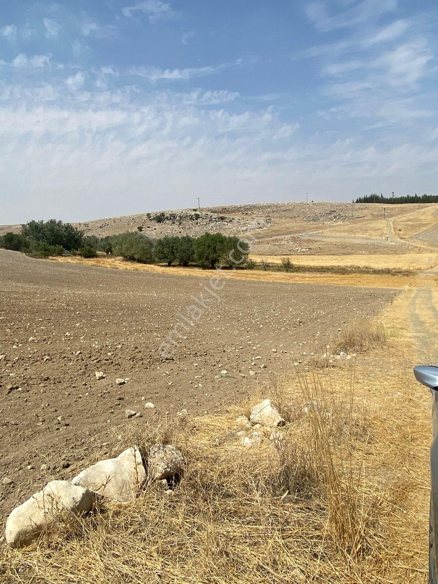 Araç Takaslı Gölbaşı Koparan'da 293 M2 Satılık Arsa Pala Emlak - Görsel 10