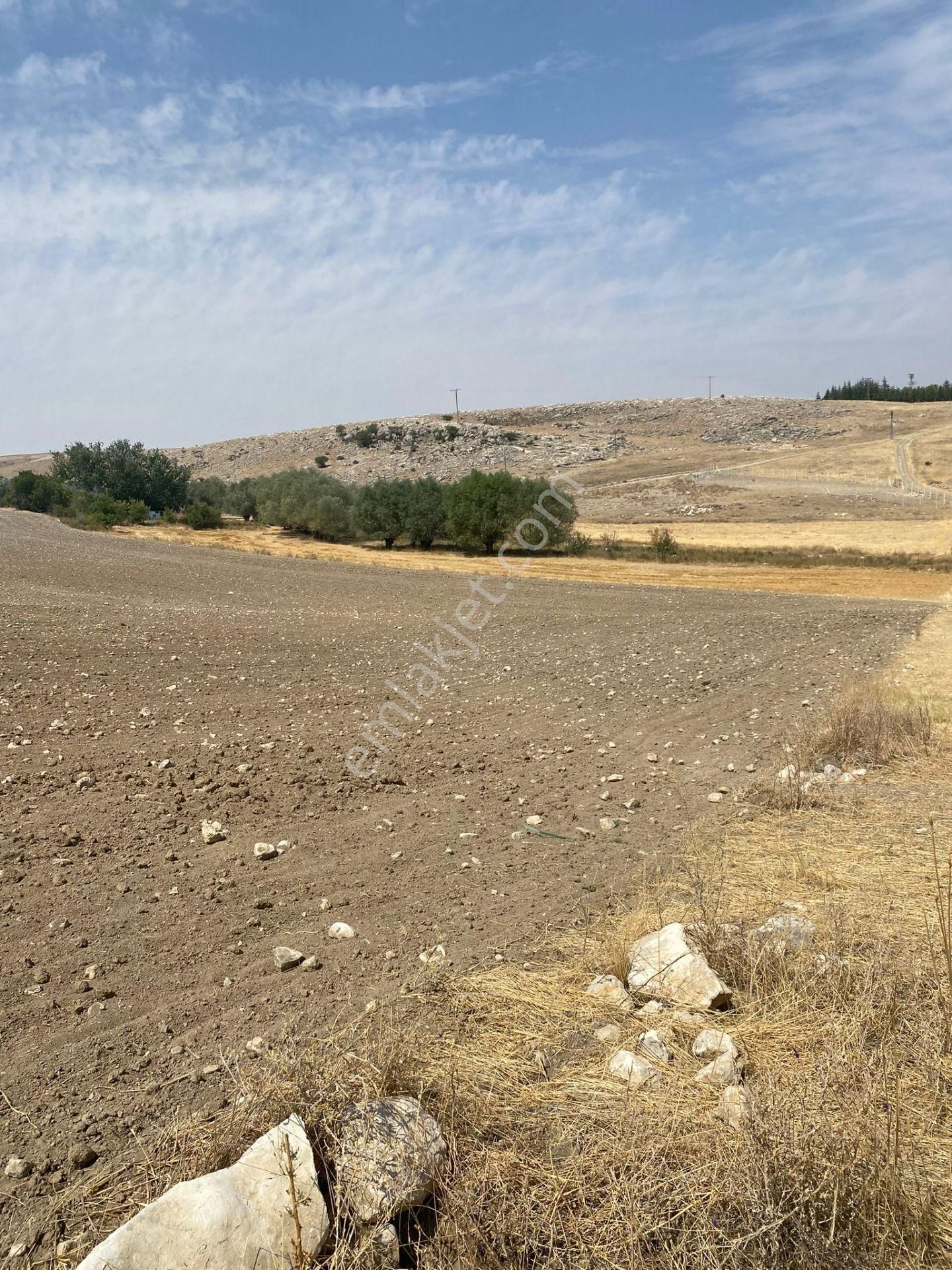 Araç Takaslı Gölbaşı Koparan'da 293 M2 Satılık Arsa Pala Emlak - Görsel 12