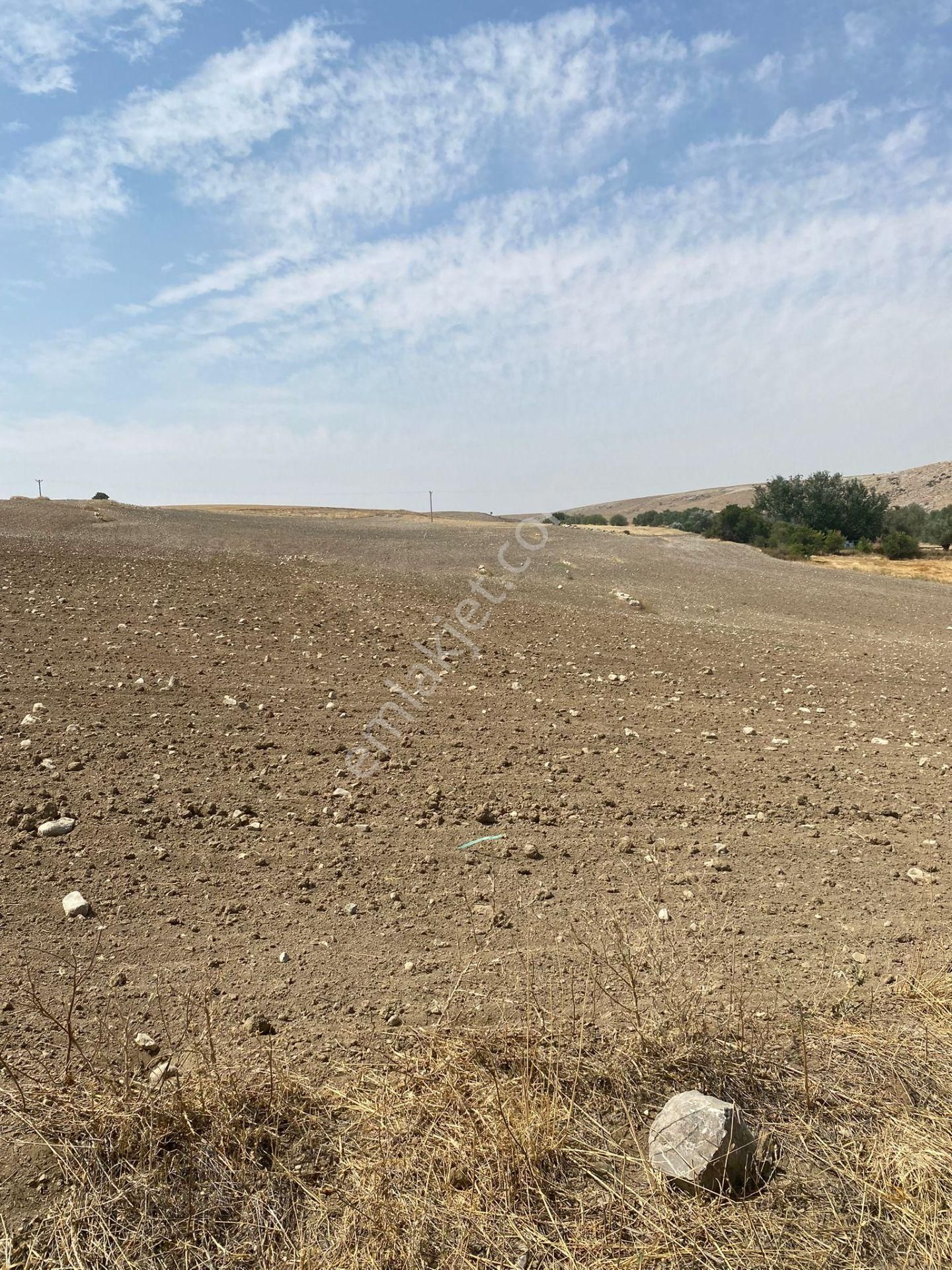 Araç Takaslı Gölbaşı Koparan'da 293 M2 Satılık Arsa Pala Emlak - Görsel 5