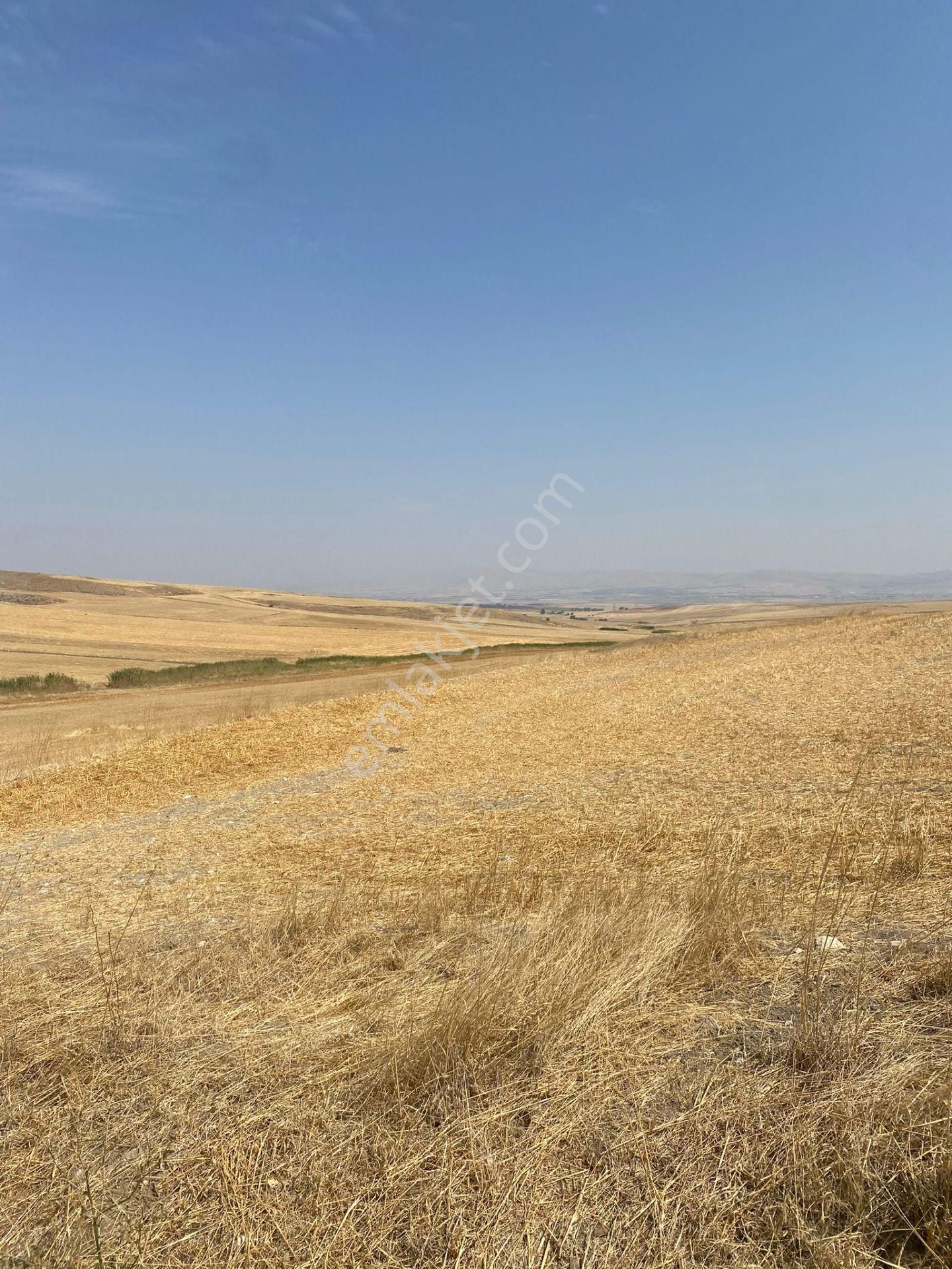 Araç Takaslı Gölbaşı Koparan'da 293 M2 Satılık Arsa Pala Emlak - Görsel 4