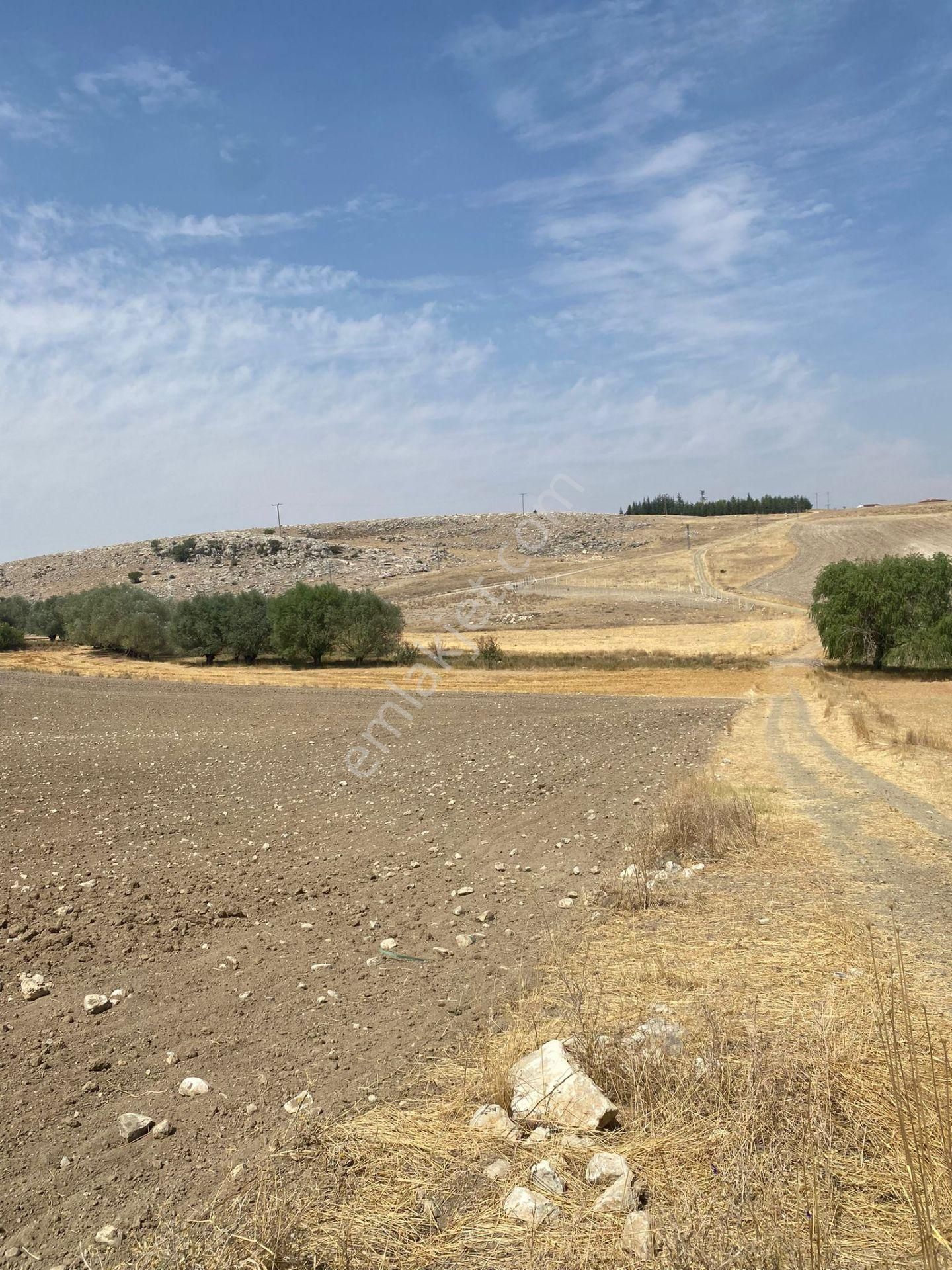 Araç Takaslı Gölbaşı Koparan'da 293 M2 Satılık Arsa Pala Emlak - Görsel 11