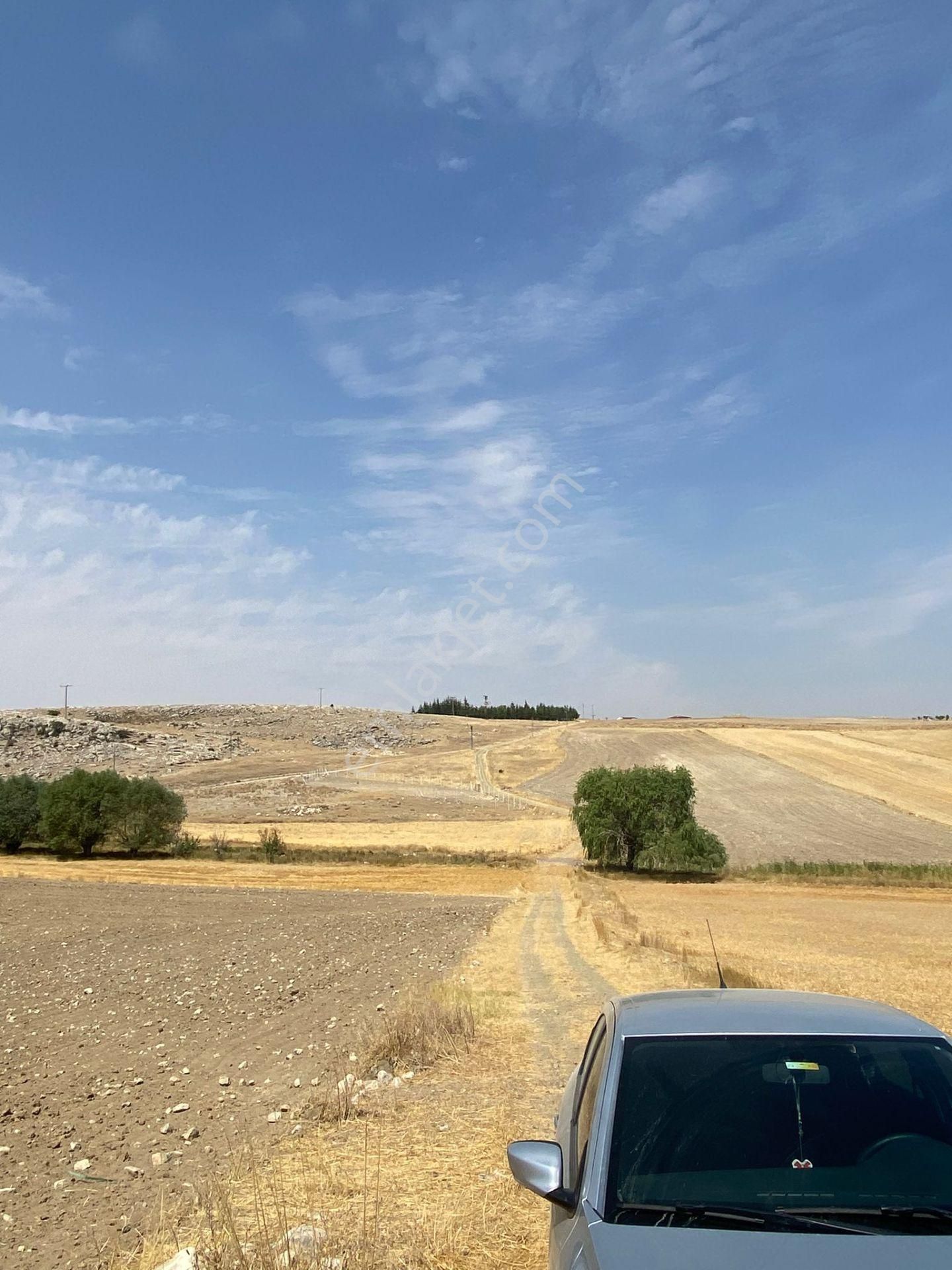 Araç Takaslı Gölbaşı Koparan'da 293 M2 Satılık Arsa Pala Emlak - Görsel 7