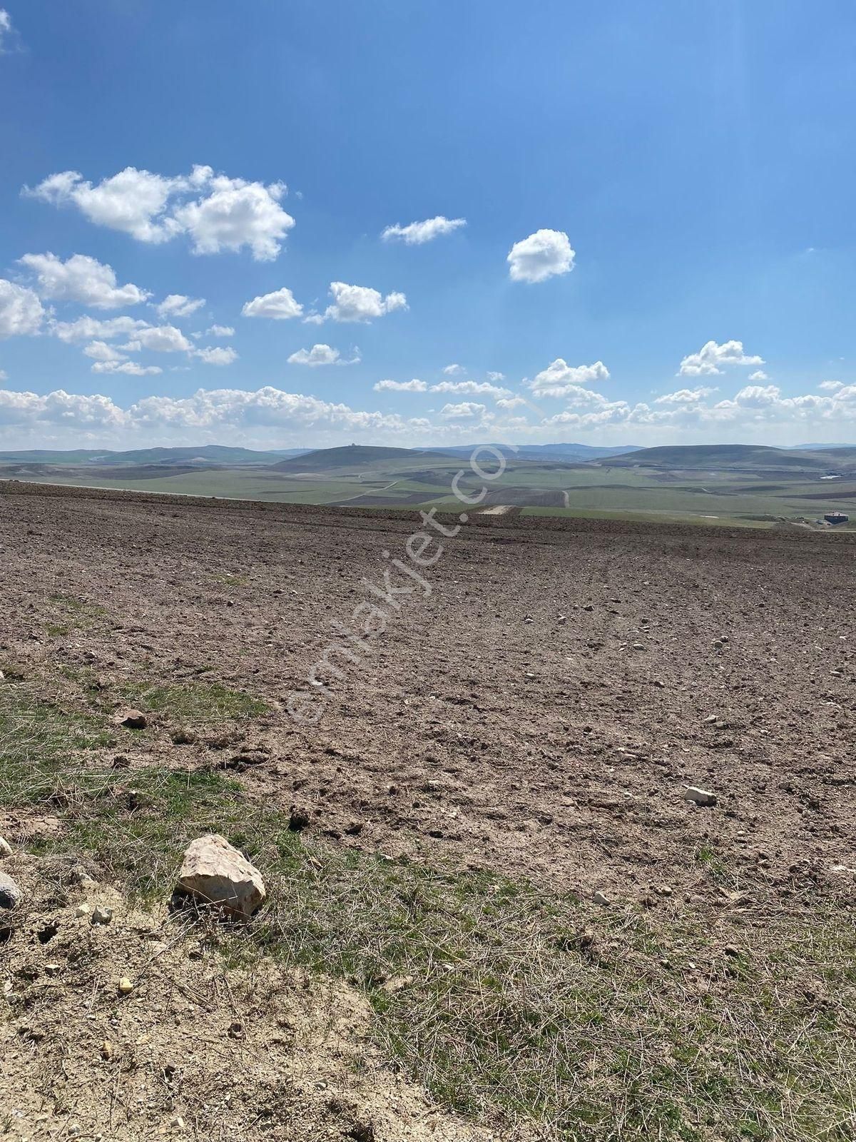 Yağlıpınar Mah'de 565 M2 Türksat Yakını Satılık Tarla Pala Emlak - Görsel 10