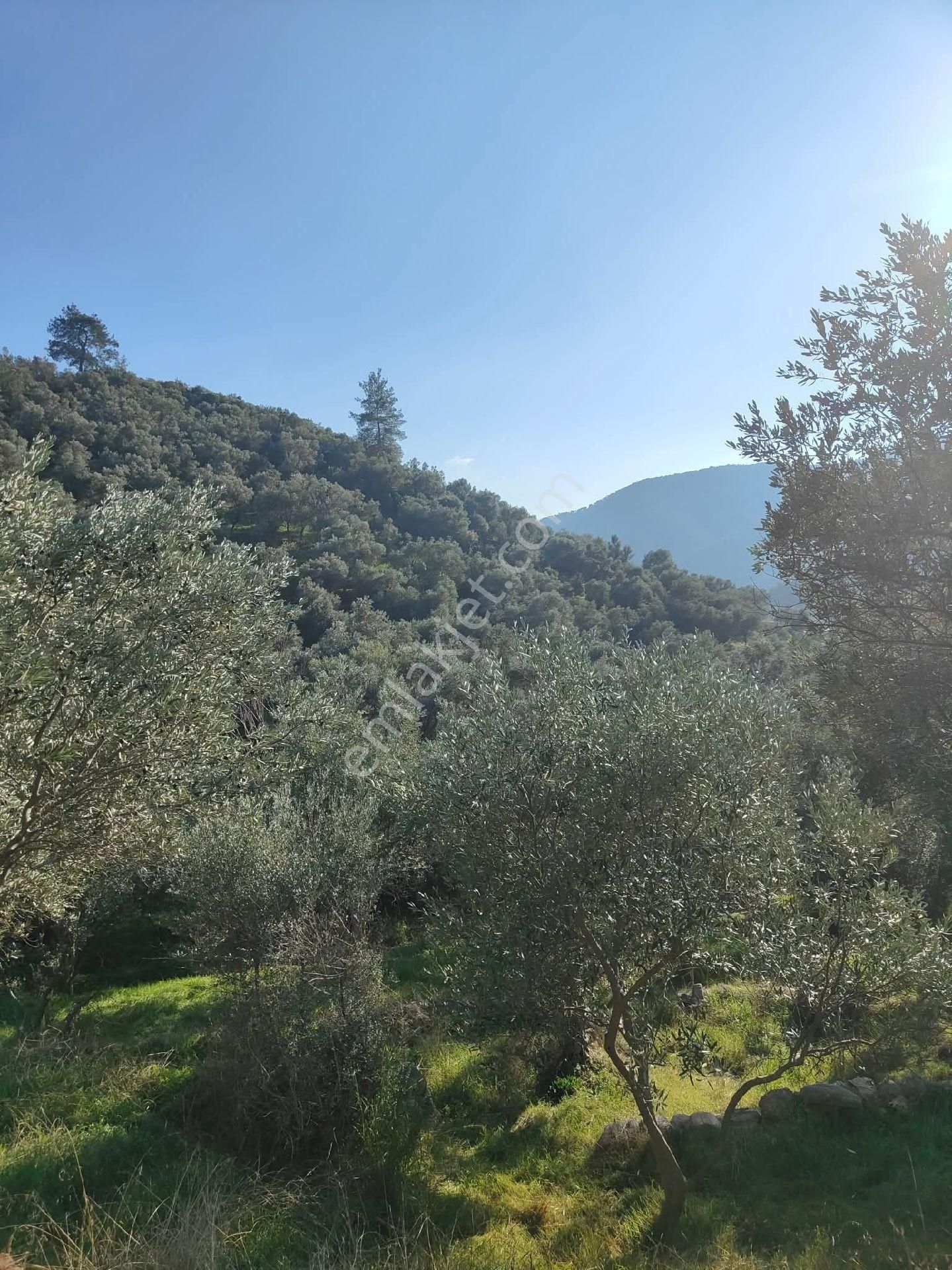 Bayındır Gayrimenkul Satılık Ev - Görsel 21