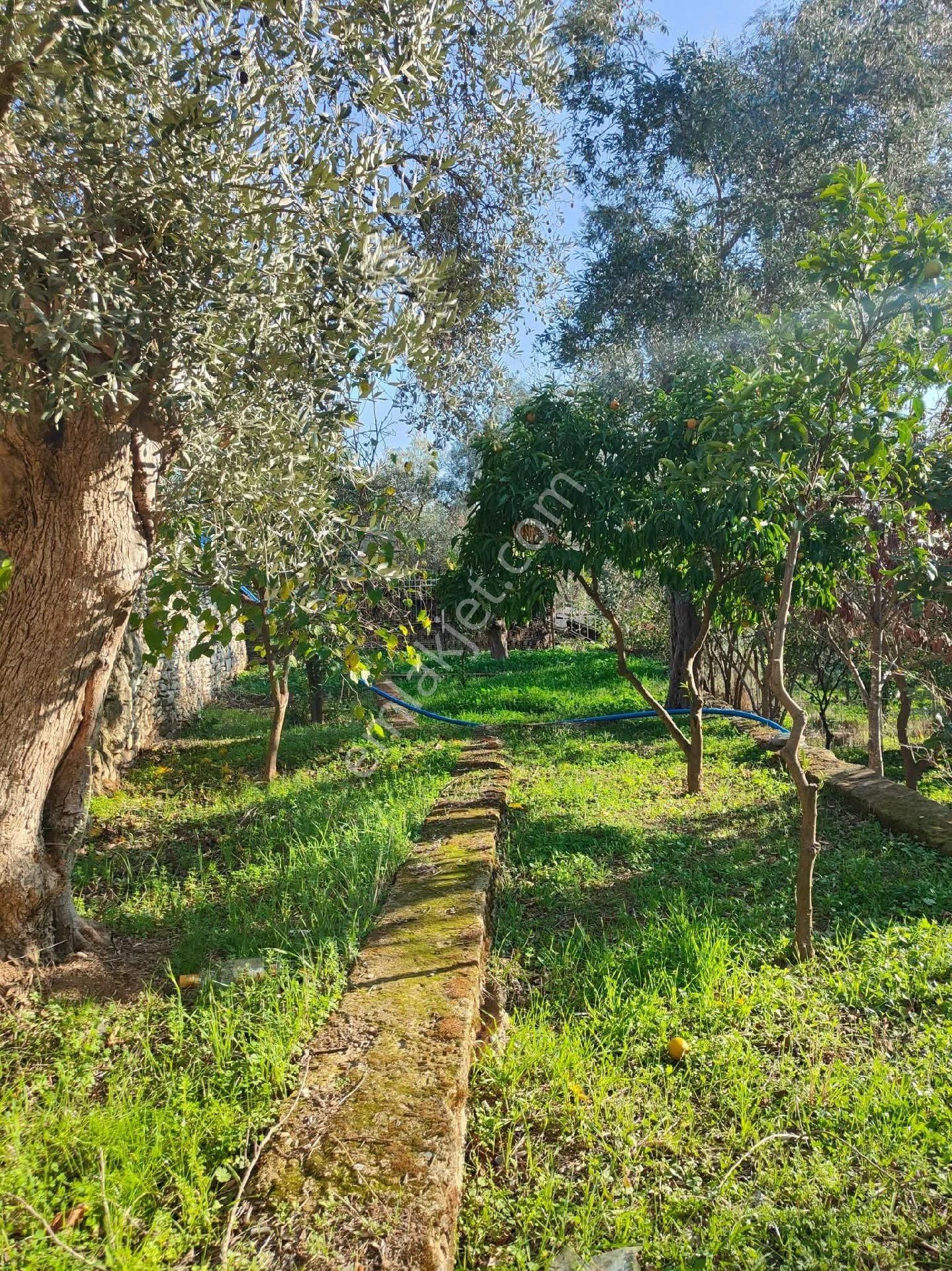 Bayındır Gayrimenkul Satılık Ev - Görsel 6