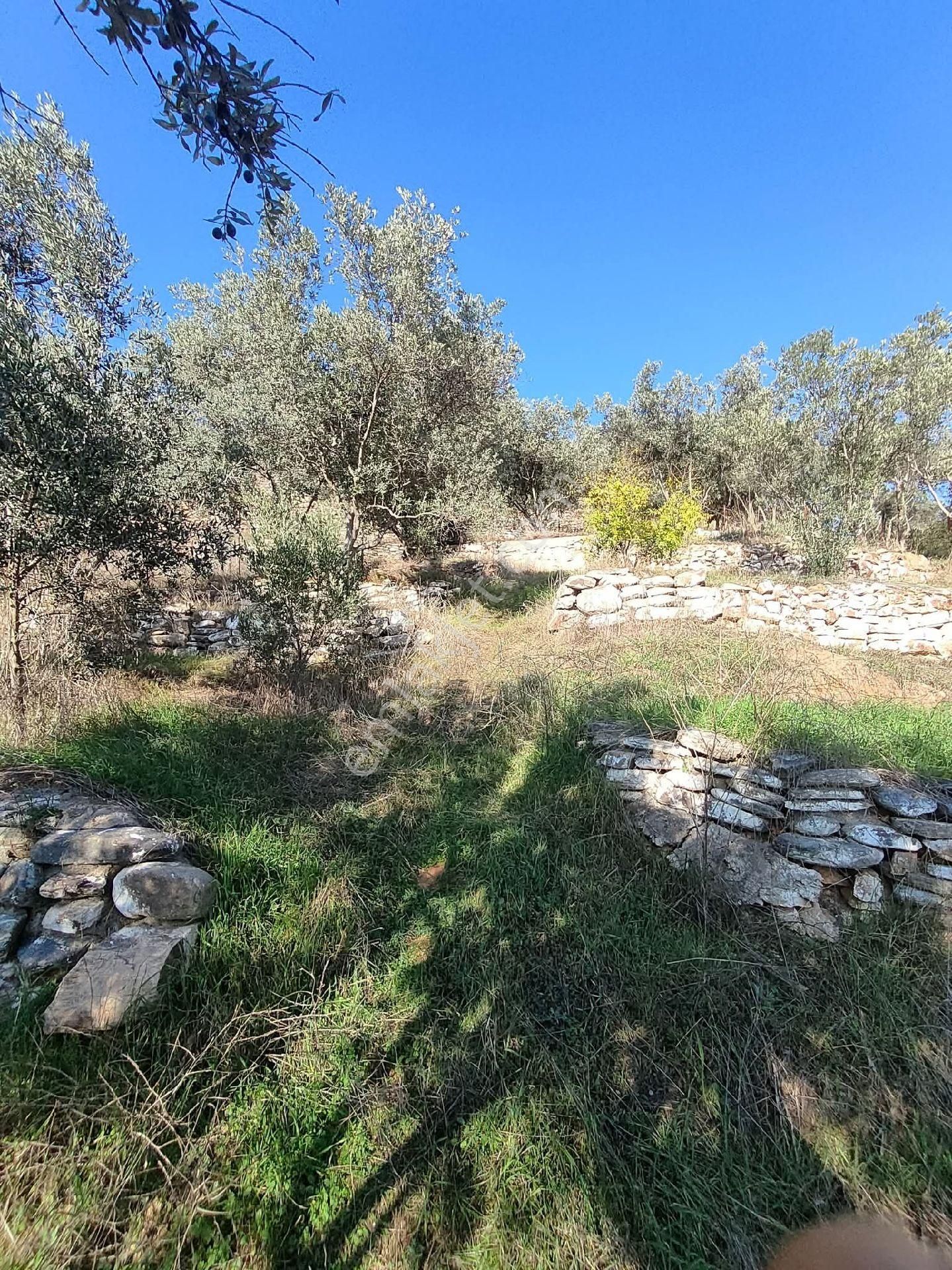 Bayındır Gayrimenkul Satılık Ev - Görsel 24