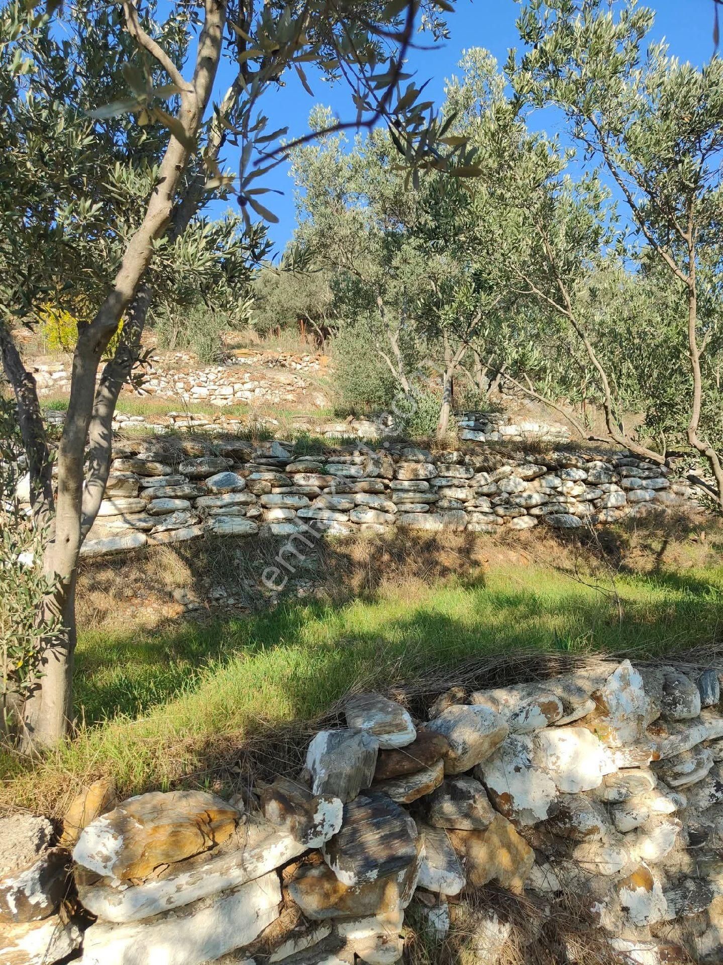 Bayındır Gayrimenkul Satılık Ev - Görsel 19