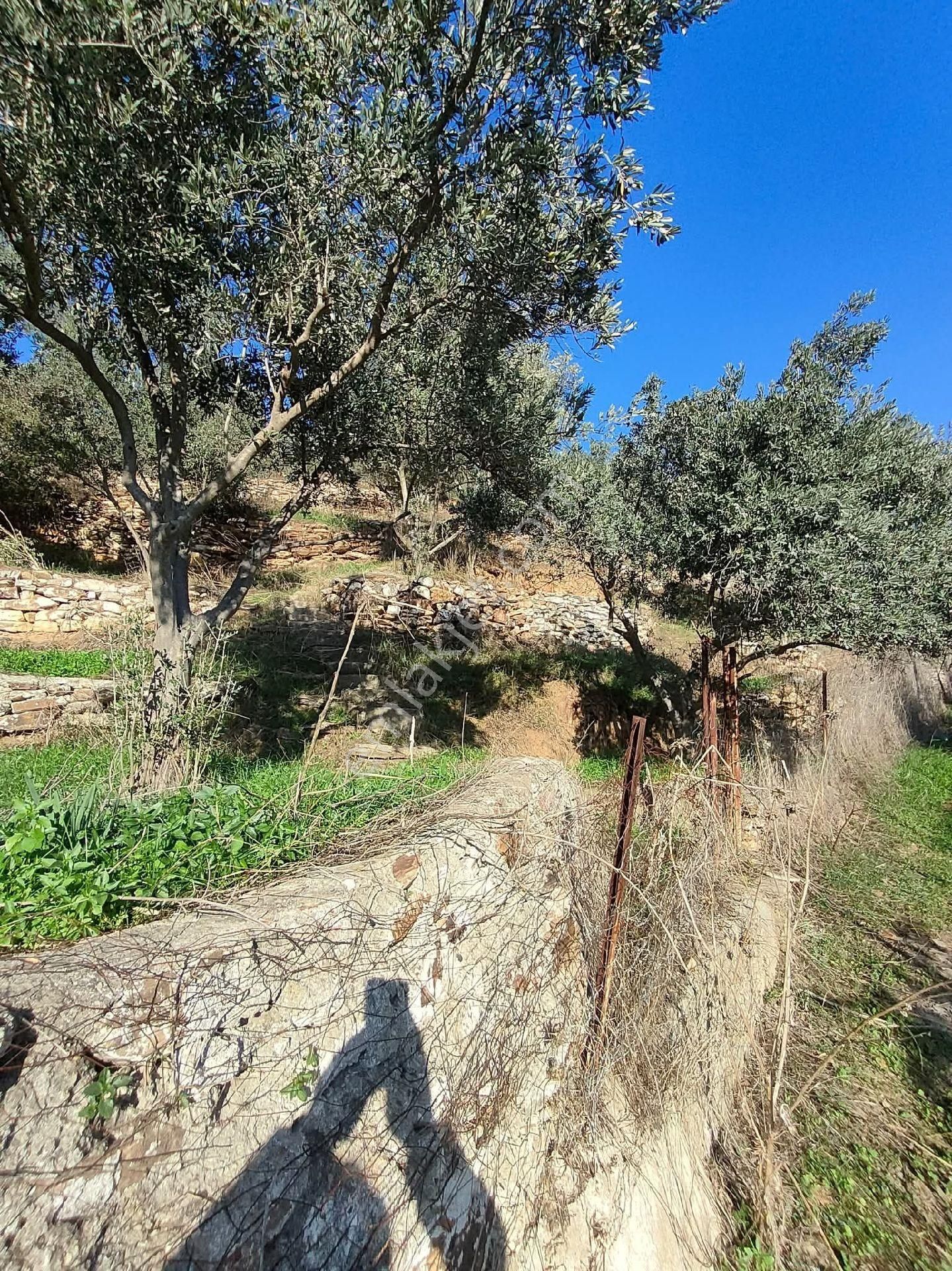 Bayındır Gayrimenkul Satılık Ev - Görsel 26