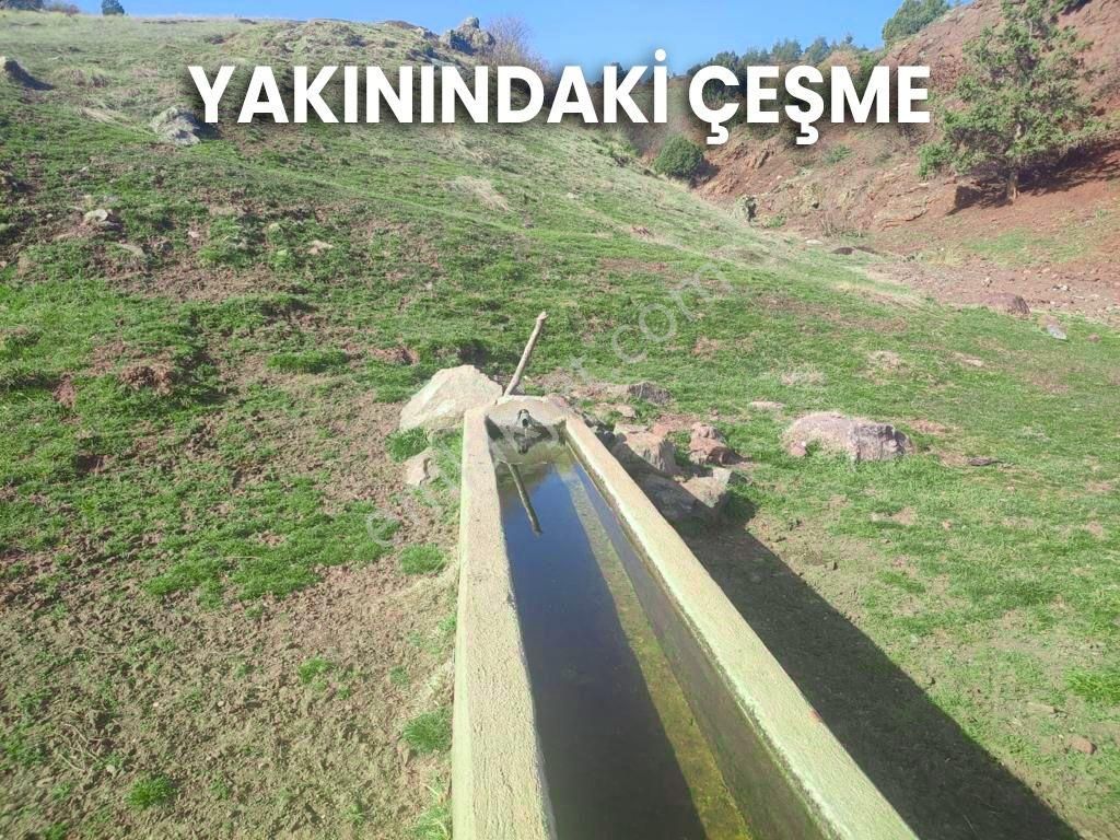 Çardak Söğüt Mah De Yerleşime Yakın 5638m2 Satılık Arazi - Görsel 6