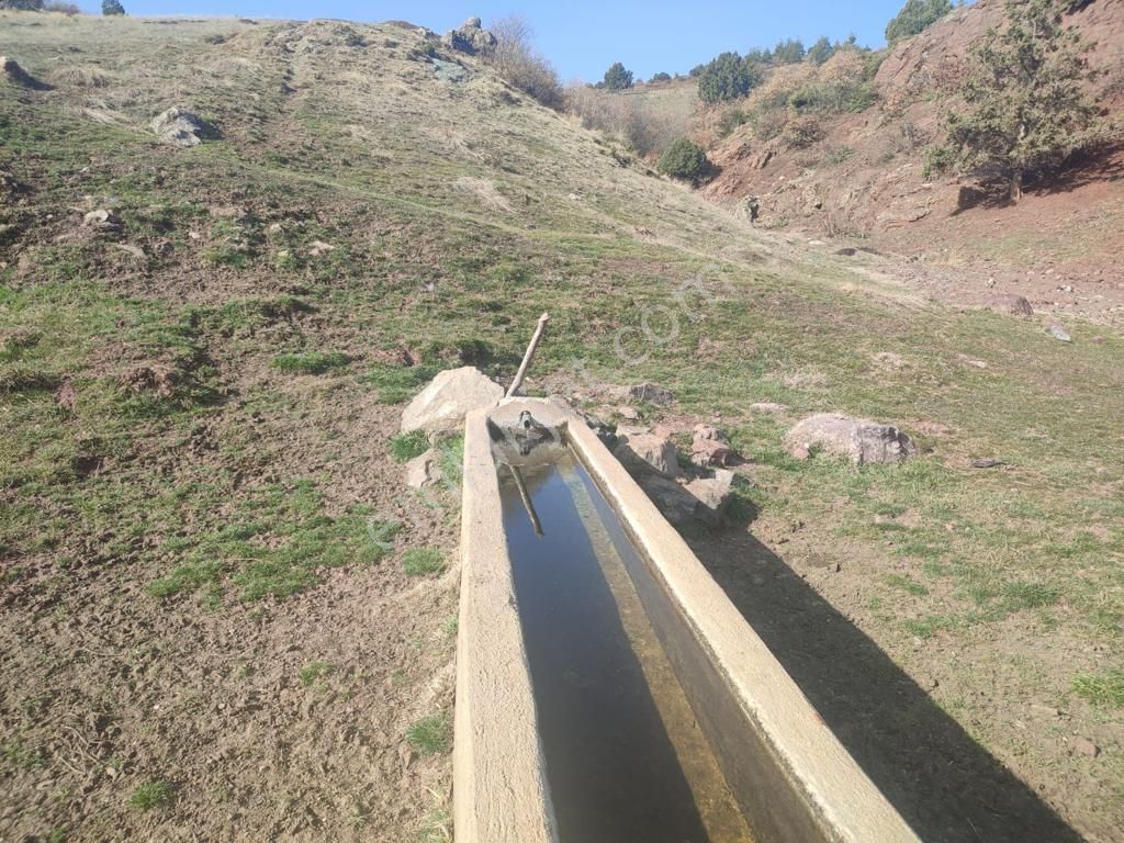 Çardak Söğüt Mah De Yerleşime Yakın 5638m2 Satılık Arazi