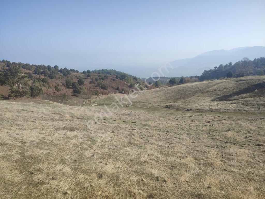 Çardak Söğüt Mah De Yerleşime Yakın 5638m2 Satılık Arazi - Görsel 10