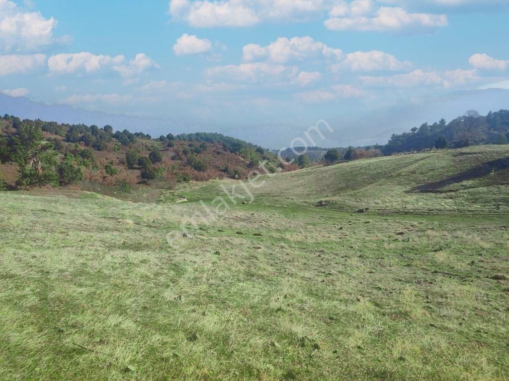 Çardak Söğüt Mah De Yerleşime Yakın 5638m2 Satılık Arazi - Görsel 8