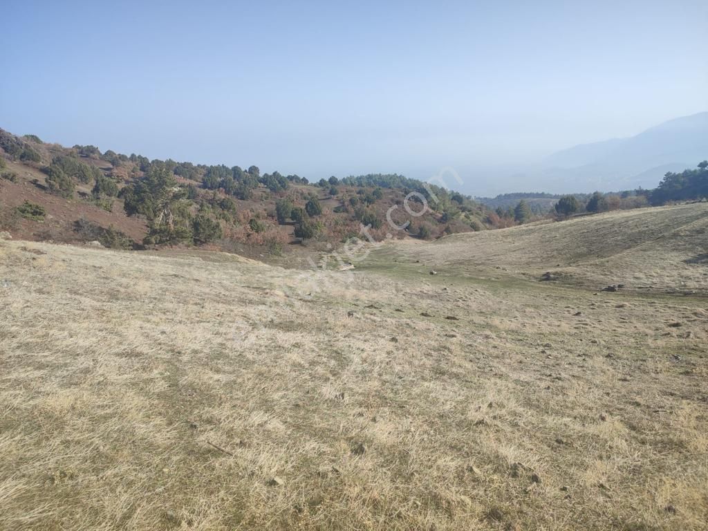 Çardak Söğüt Mah De Yerleşime Yakın 5638m2 Satılık Arazi - Görsel 2