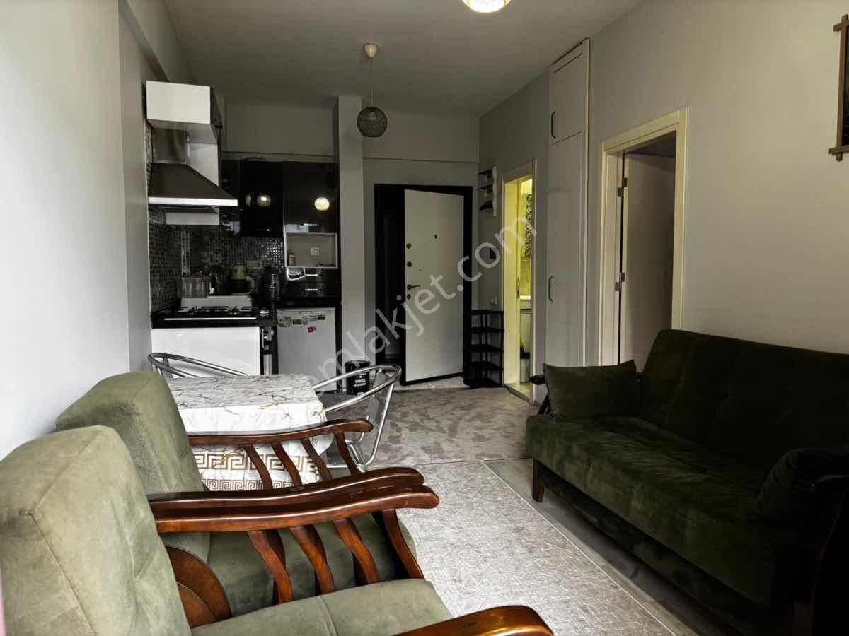 Seyrekte 1+1 Eşyalı Kiralık Daire