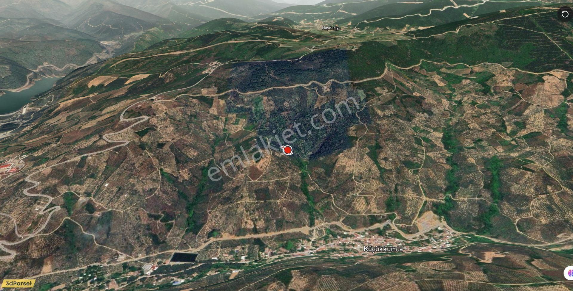 C21 Cius ; Küçük Kumla Mahallesinde 1845 M2 Satılık Zeytinlik - Görsel 17