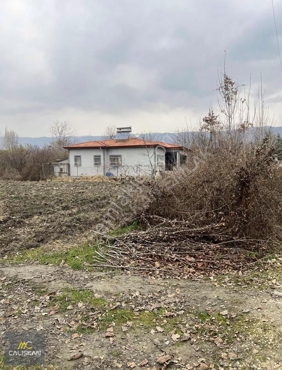 Emirseyit'te Elektrik-su-yolu Bulunan Satılık 1080 M2 Bahçe - Görsel 6