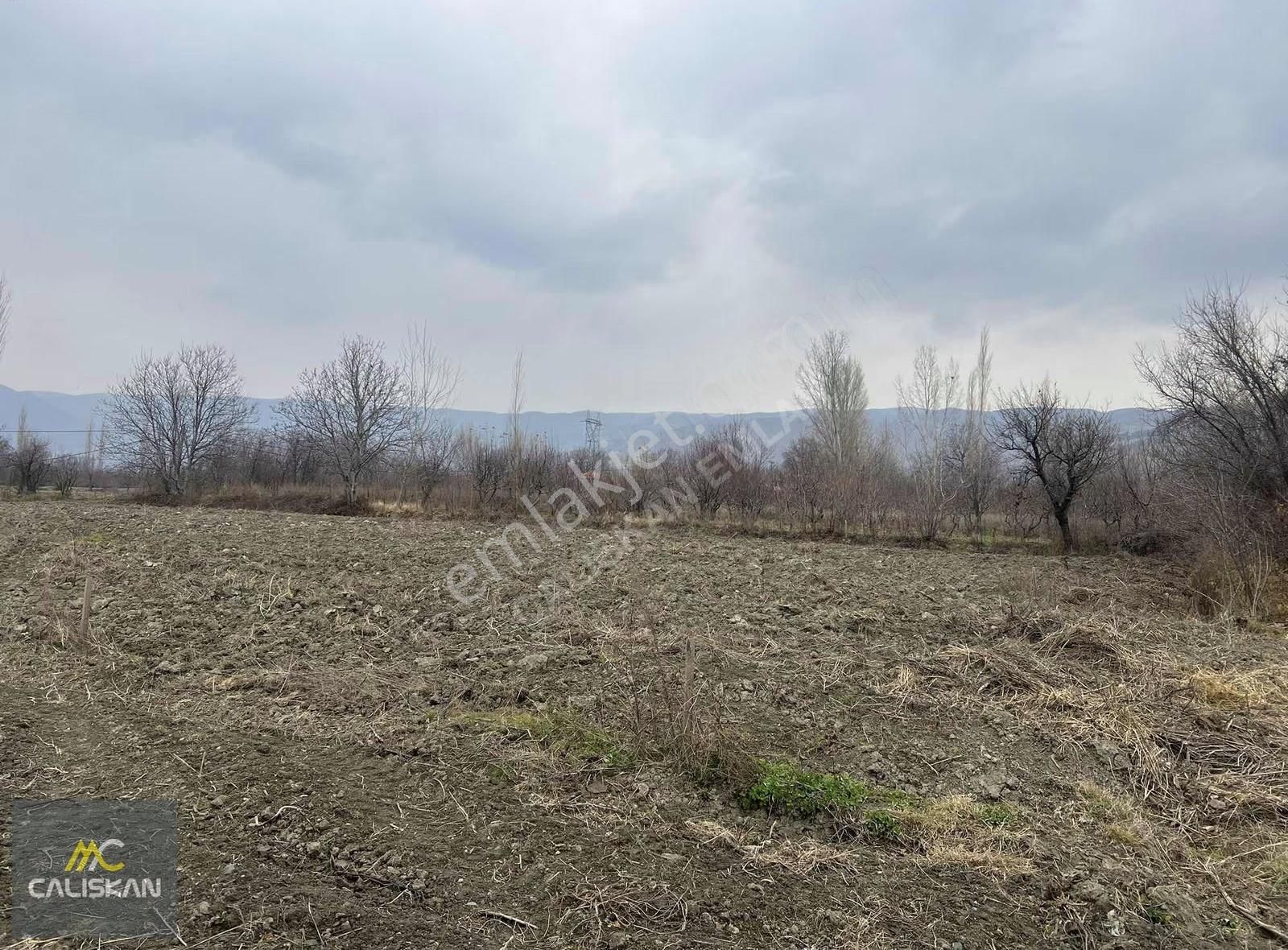 Emirseyit'te Elektrik-su-yolu Bulunan Satılık 1080 M2 Bahçe - Görsel 5