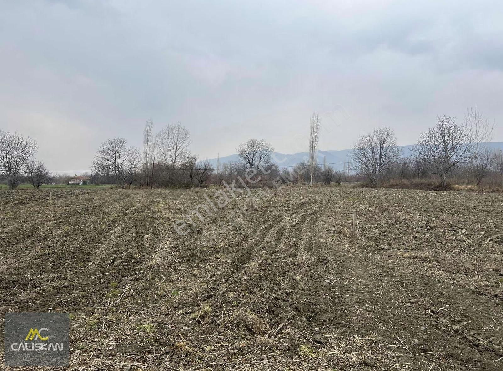 Emirseyit'te Elektrik-su-yolu Bulunan Satılık 1080 M2 Bahçe - Görsel 8