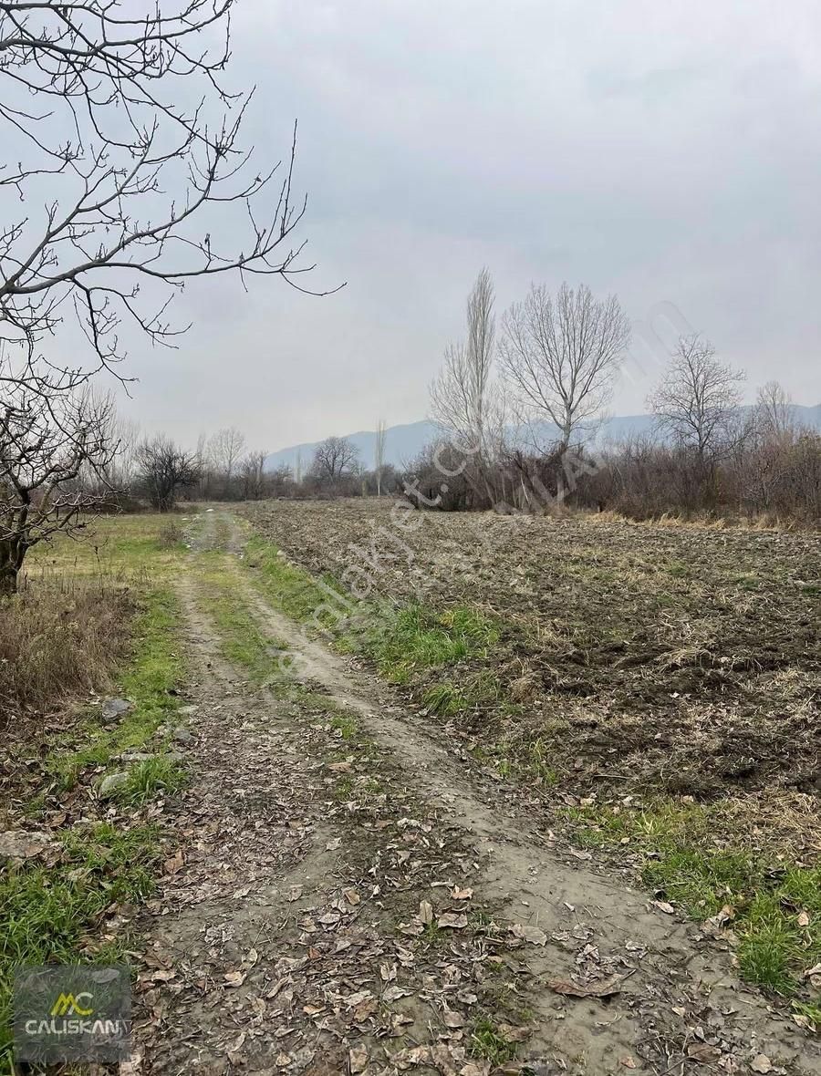 Emirseyit'te Elektrik-su-yolu Bulunan Satılık 1080 M2 Bahçe - Görsel 12
