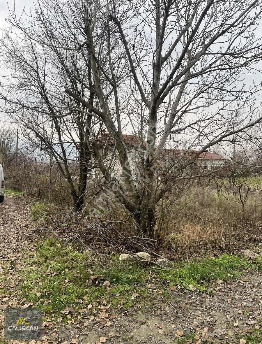 Emirseyit'te Elektrik-su-yolu Bulunan Satılık 1080 M2 Bahçe - Görsel 3
