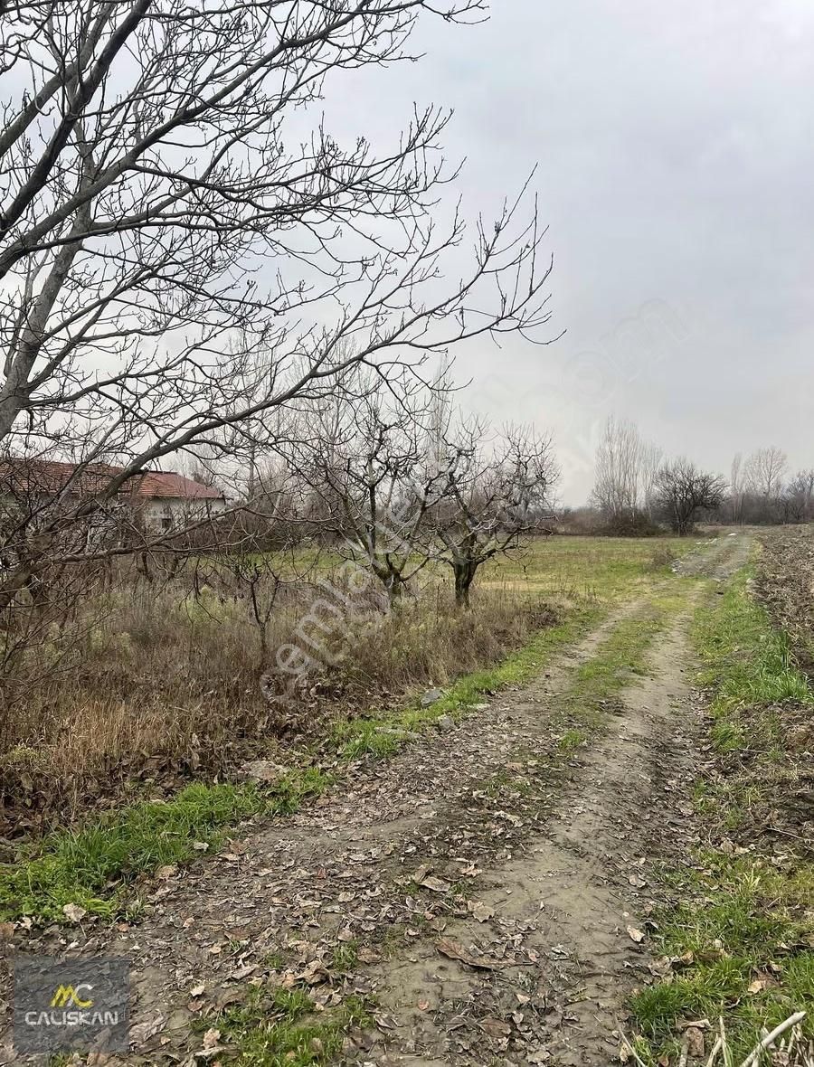 Emirseyit'te Elektrik-su-yolu Bulunan Satılık 1080 M2 Bahçe - Görsel 7