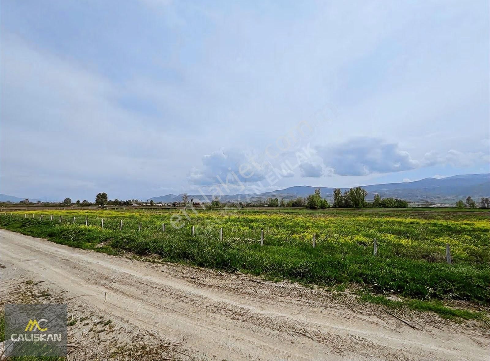 Söngüt Irmak Kenarı Satılık 3875 M2 Tarla - Görsel 12