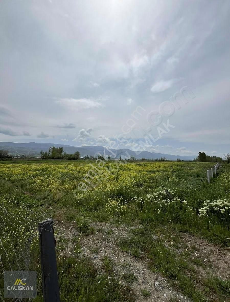 Söngüt Irmak Kenarı Satılık 3875 M2 Tarla - Görsel 5
