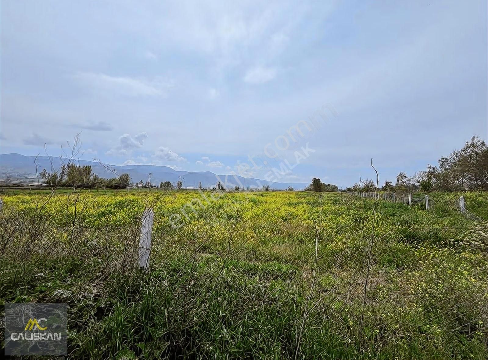 Söngüt Irmak Kenarı Satılık 3875 M2 Tarla - Görsel 14