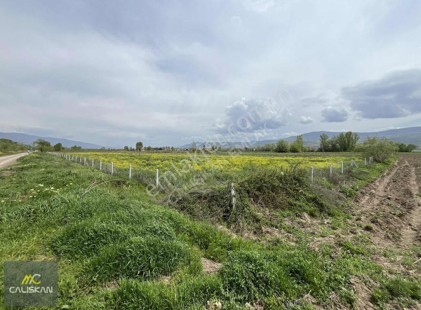 Söngüt Irmak Kenarı Satılık 3875 M2 Tarla - Görsel 6