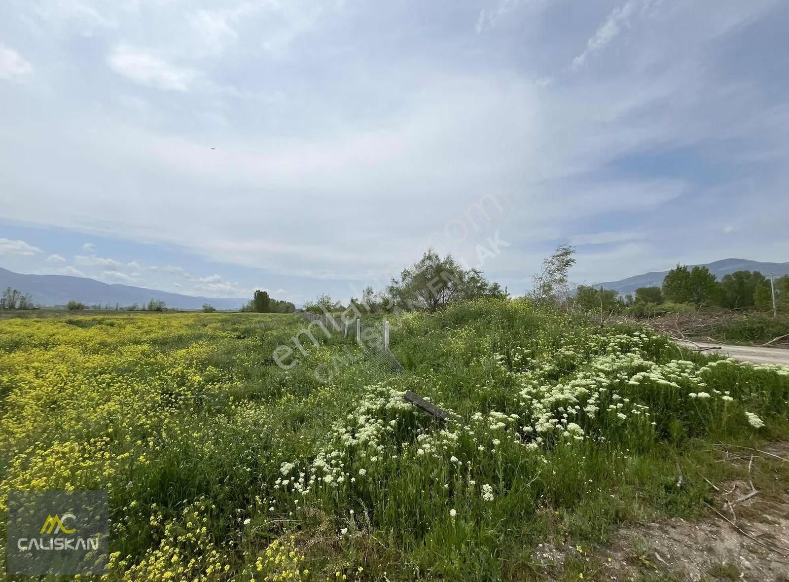 Söngüt Irmak Kenarı Satılık 3875 M2 Tarla - Görsel 16