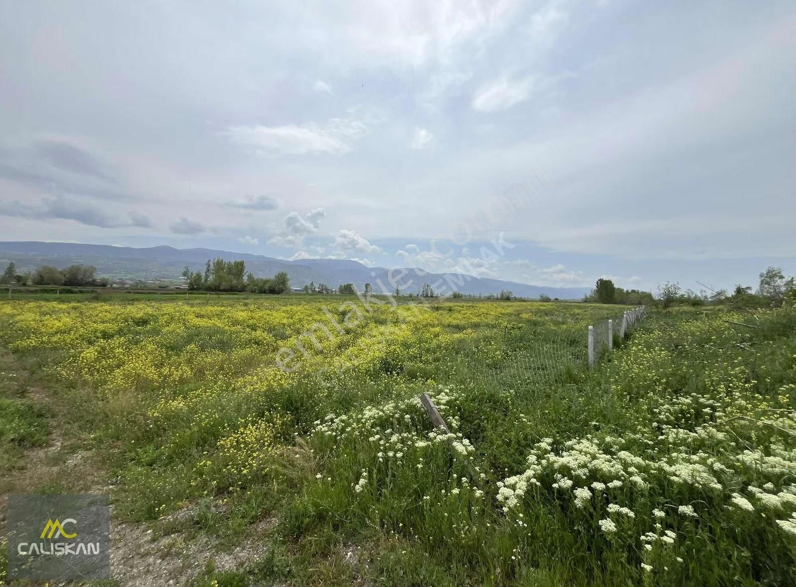 Söngüt Irmak Kenarı Satılık 3875 M2 Tarla - Görsel 2