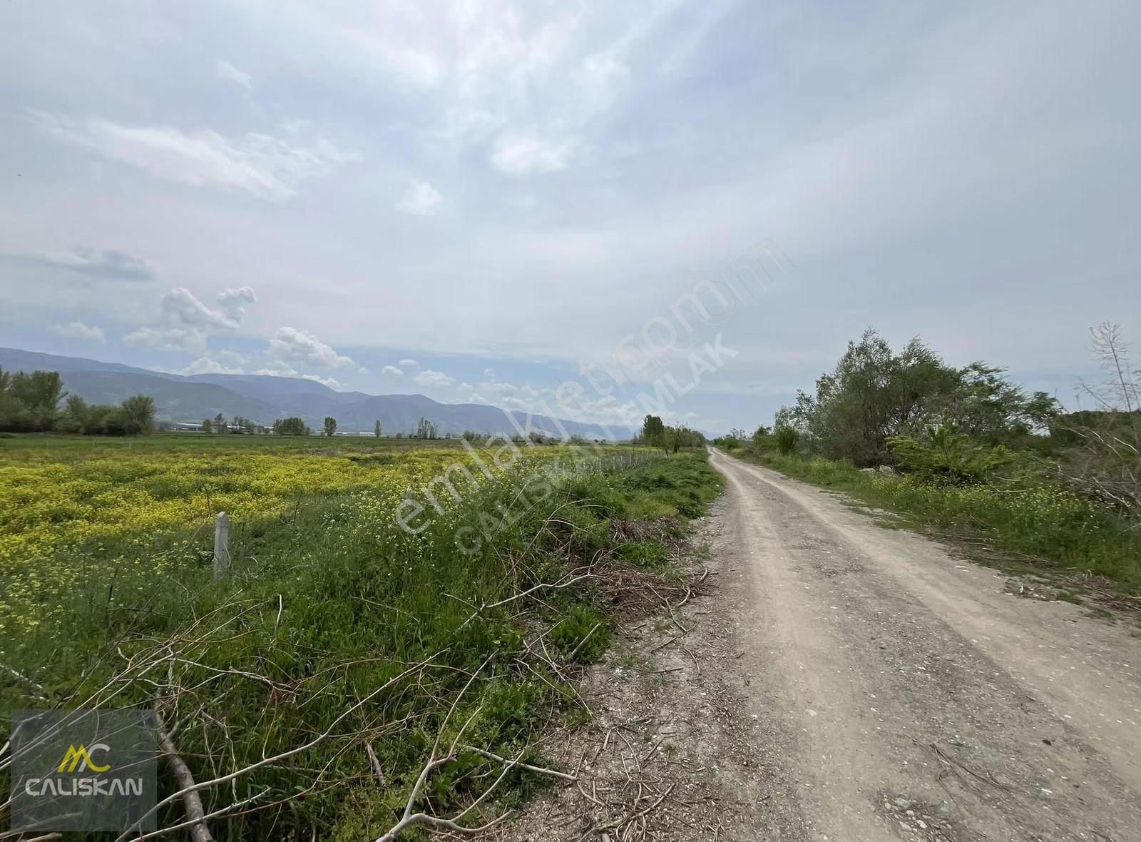 Söngüt Irmak Kenarı Satılık 3875 M2 Tarla - Görsel 9