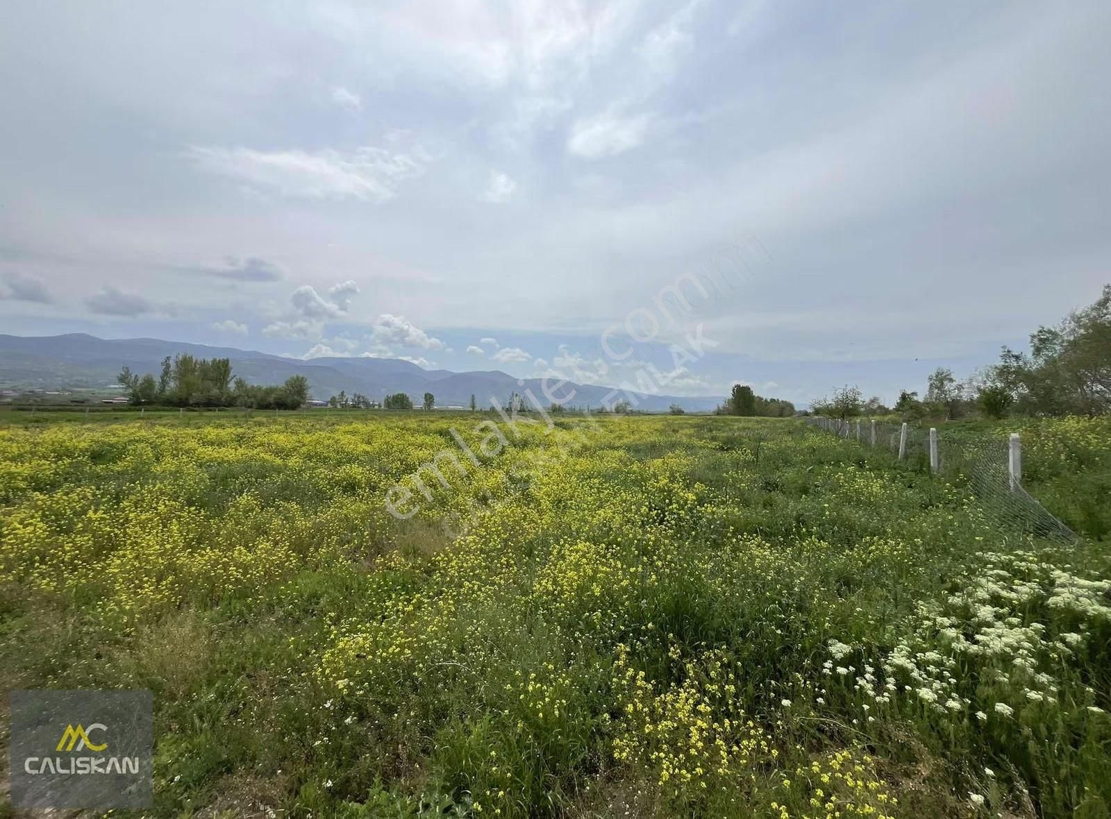 Söngüt Irmak Kenarı Satılık 3875 M2 Tarla - Görsel 15