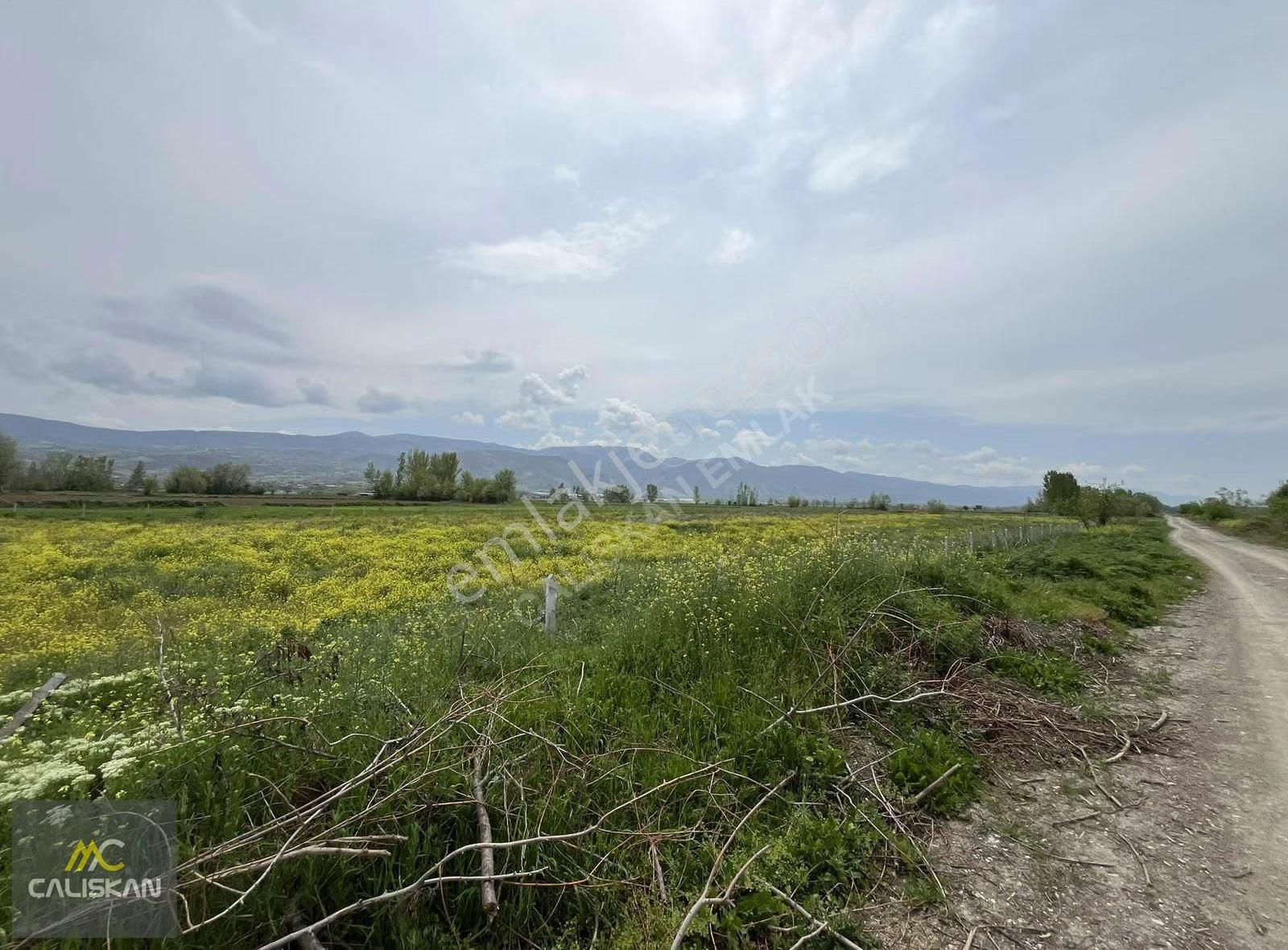 Söngüt Irmak Kenarı Satılık 3875 M2 Tarla - Görsel 8