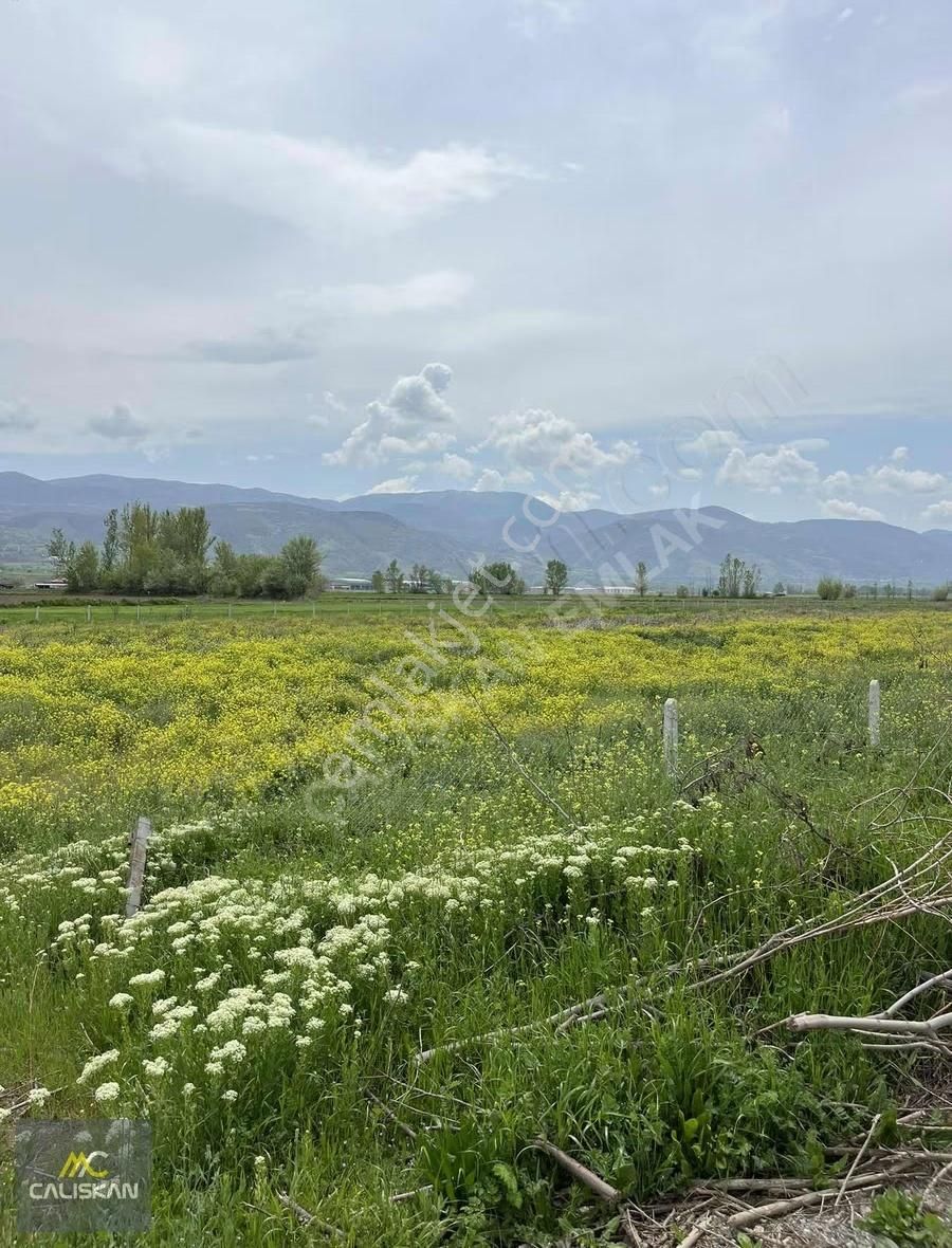 Söngüt Irmak Kenarı Satılık 3875 M2 Tarla - Görsel 3