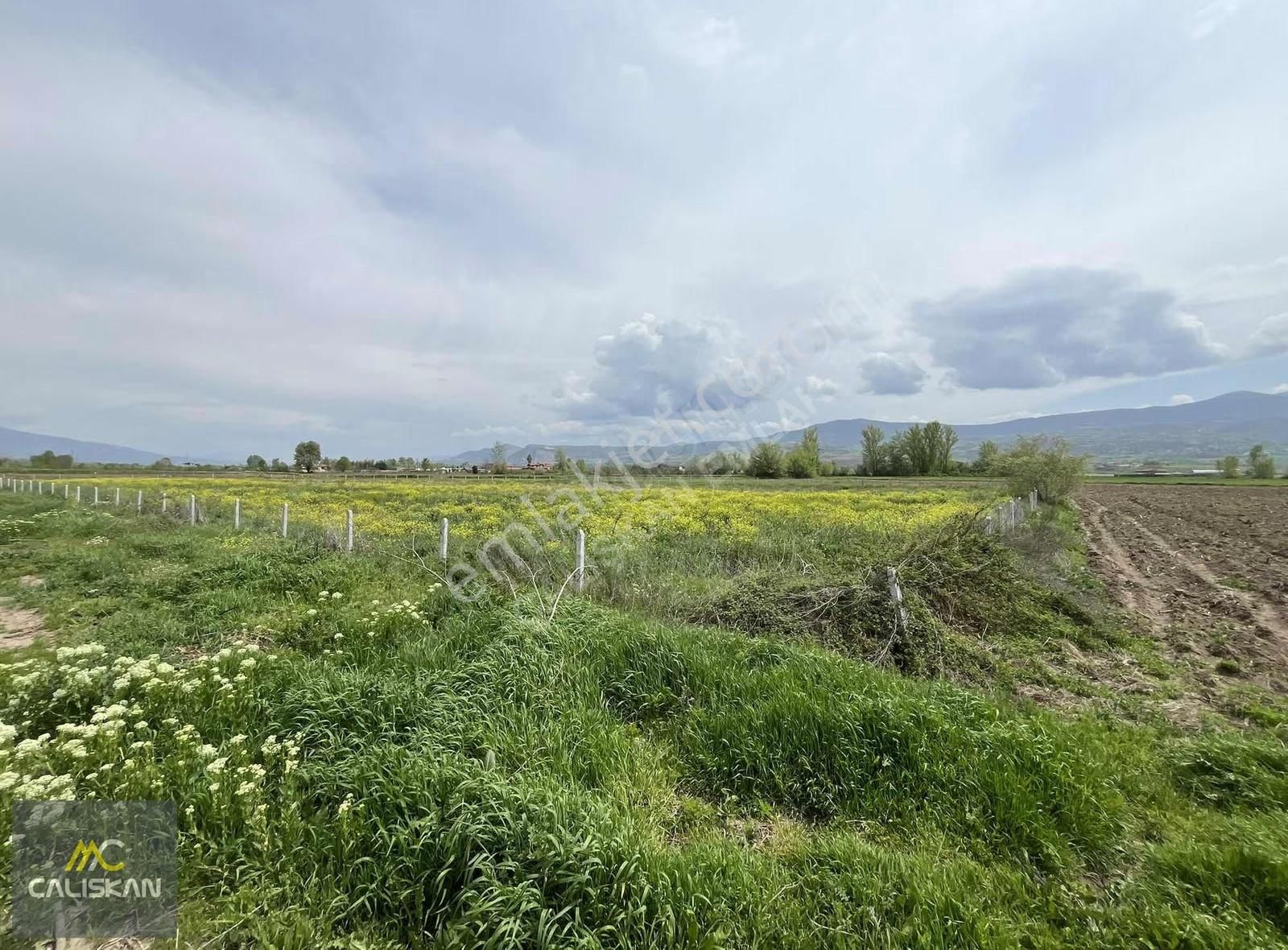 Söngüt Irmak Kenarı Satılık 3875 M2 Tarla - Görsel 7