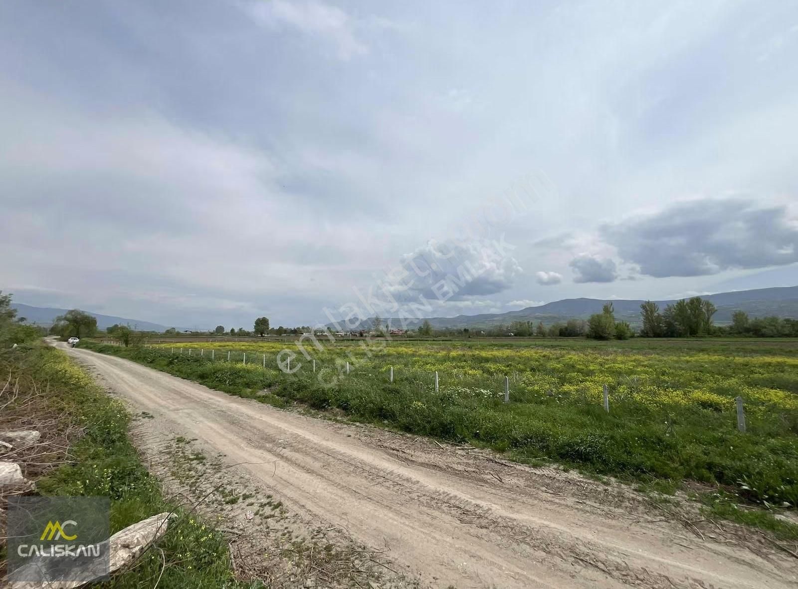 Söngüt Irmak Kenarı Satılık 3875 M2 Tarla - Görsel 10