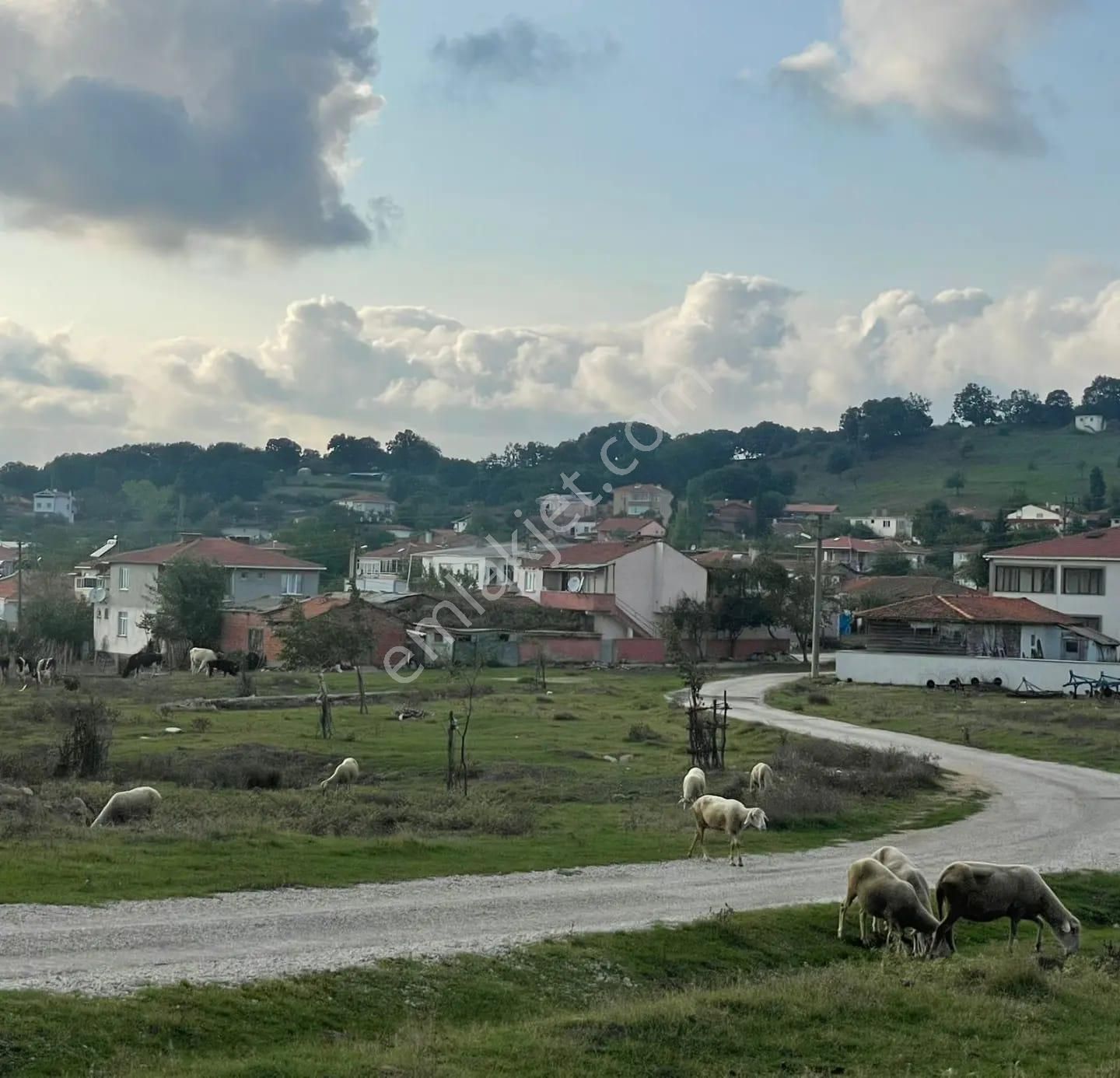 Çanakkale Çan Kocayayla Satılık Tarla - Görsel 5