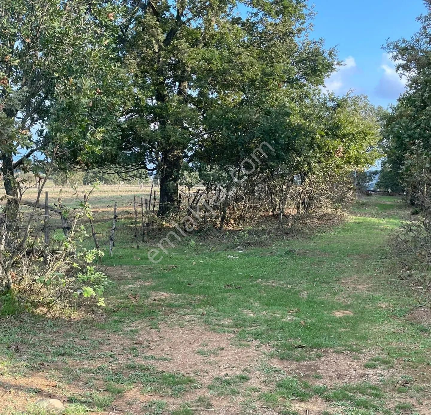 Çanakkale Çan Kocayayla Satılık Tarla - Görsel 9