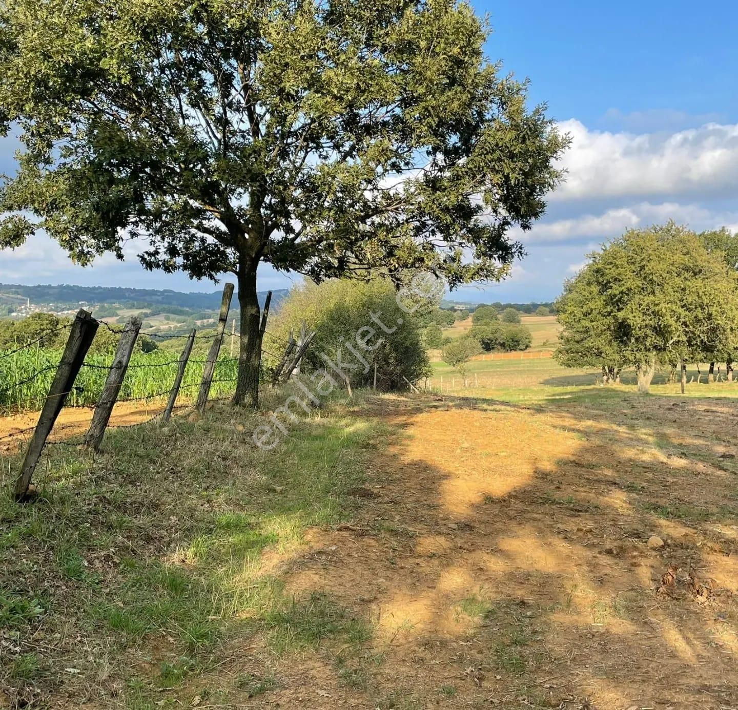 Çanakkale Çan Kocayayla Satılık Tarla - Görsel 10