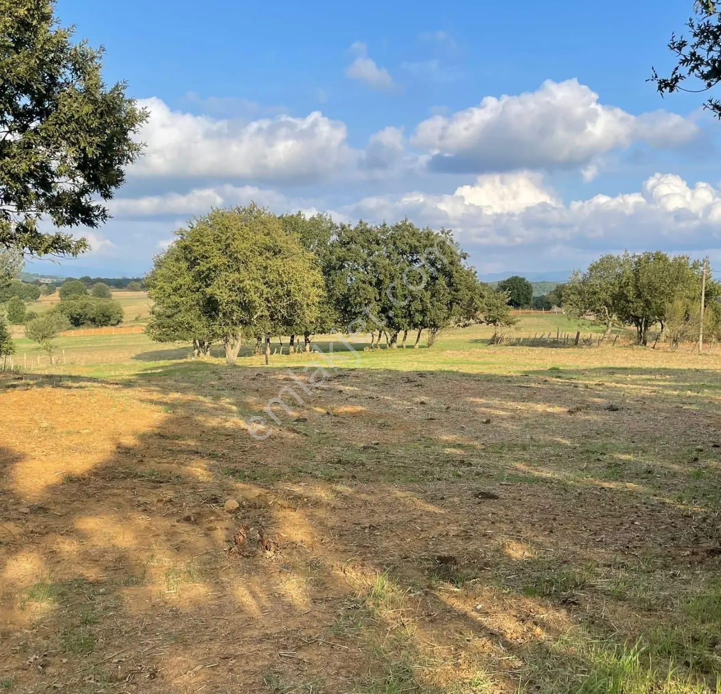 Çanakkale Çan Kocayayla Satılık Tarla - Görsel 6