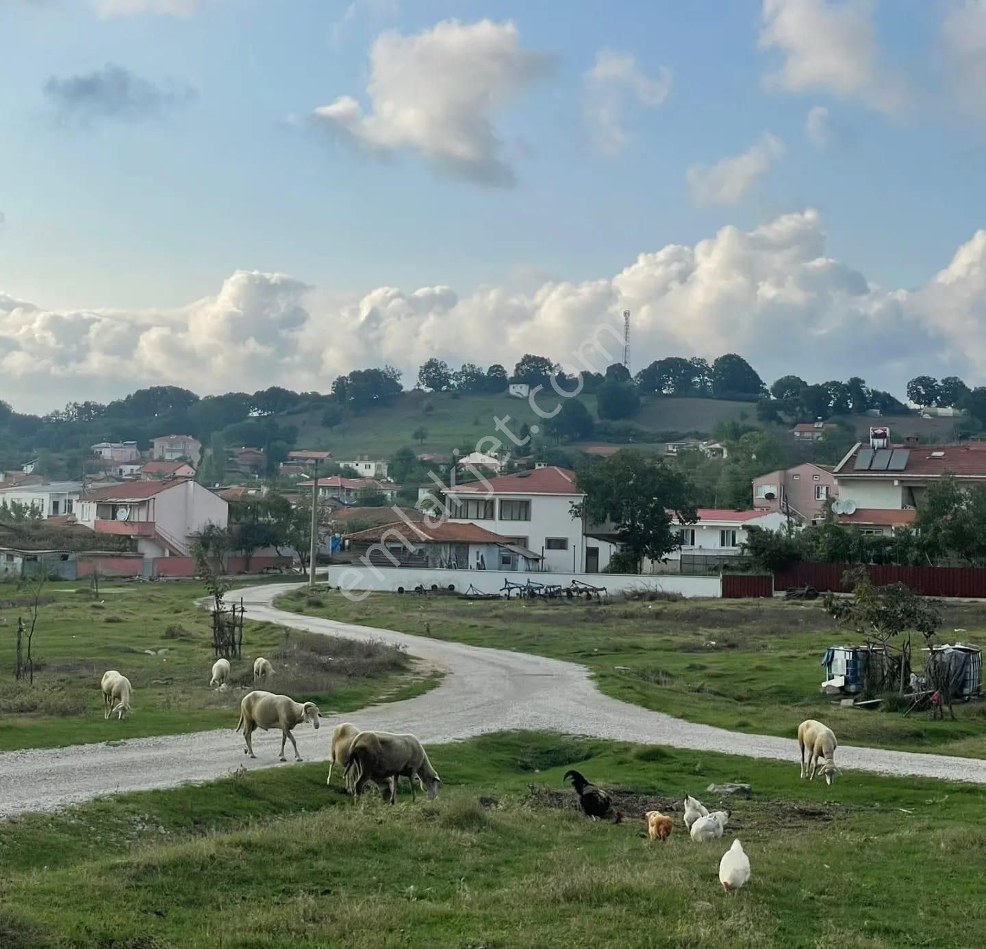 Çanakkale Çan Kocayayla Satılık Tarla - Görsel 4