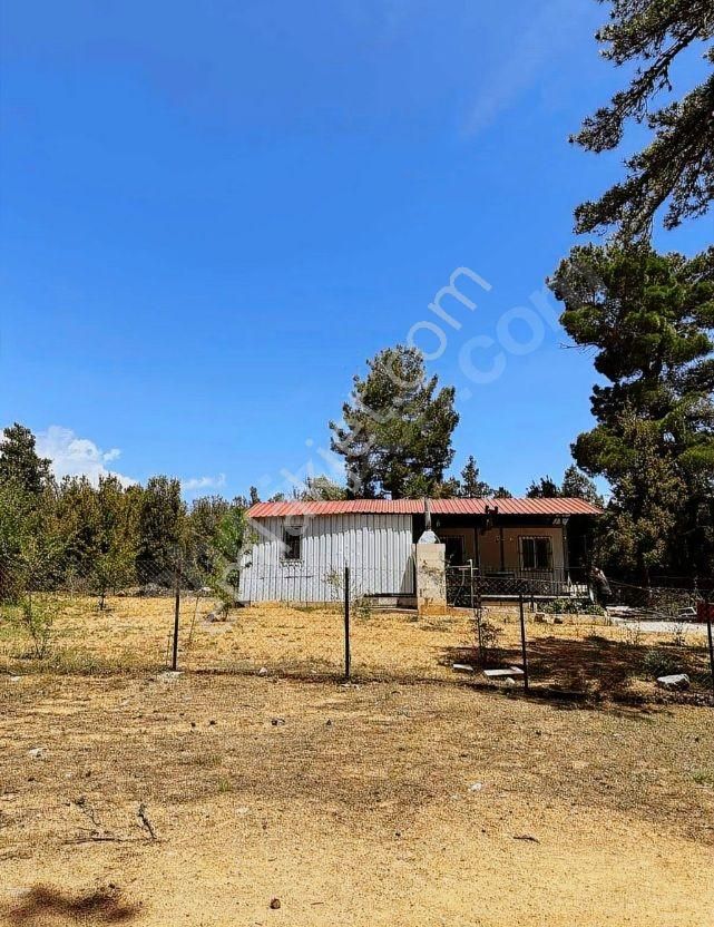Goldhouse Dan Satılık 2+1 Konteyner Ev Ve Arsası - Görsel 3