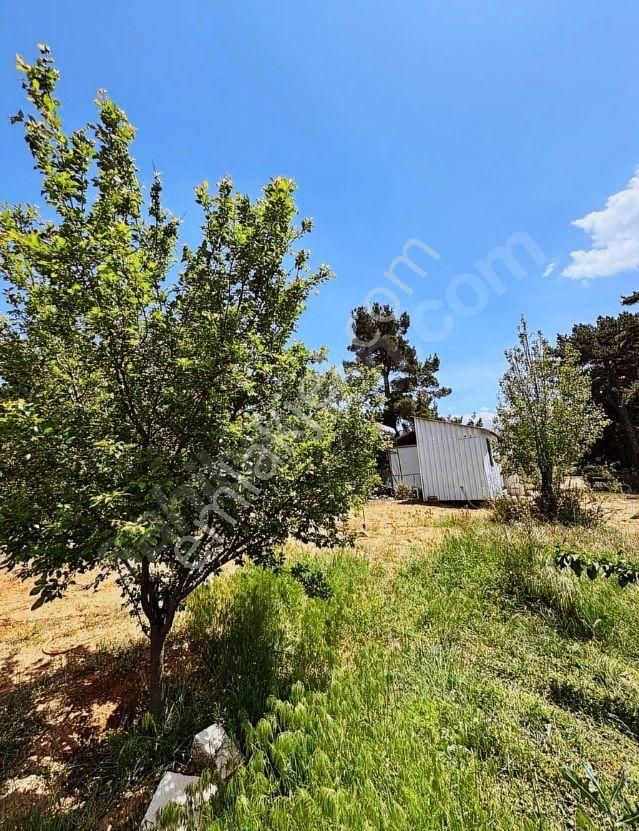 Goldhouse Dan Satılık 2+1 Konteyner Ev Ve Arsası - Görsel 7