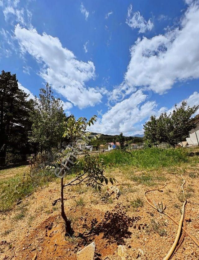 Goldhouse Dan Satılık 2+1 Konteyner Ev Ve Arsası - Görsel 9